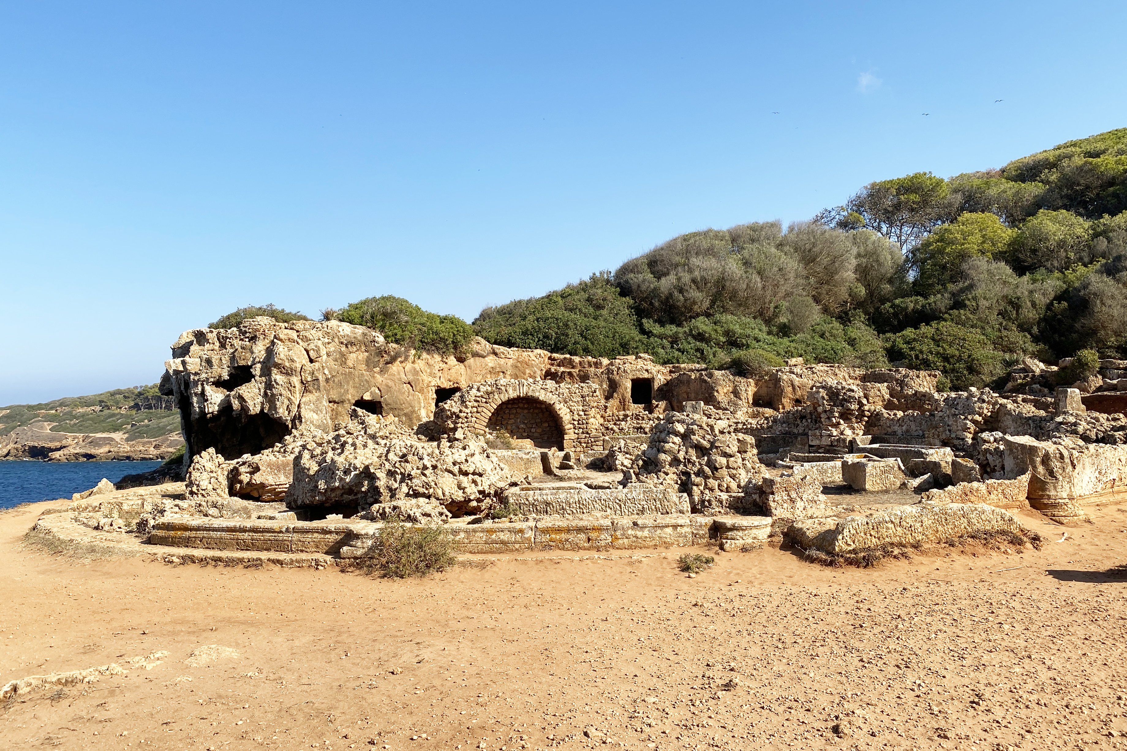 Tipasa
