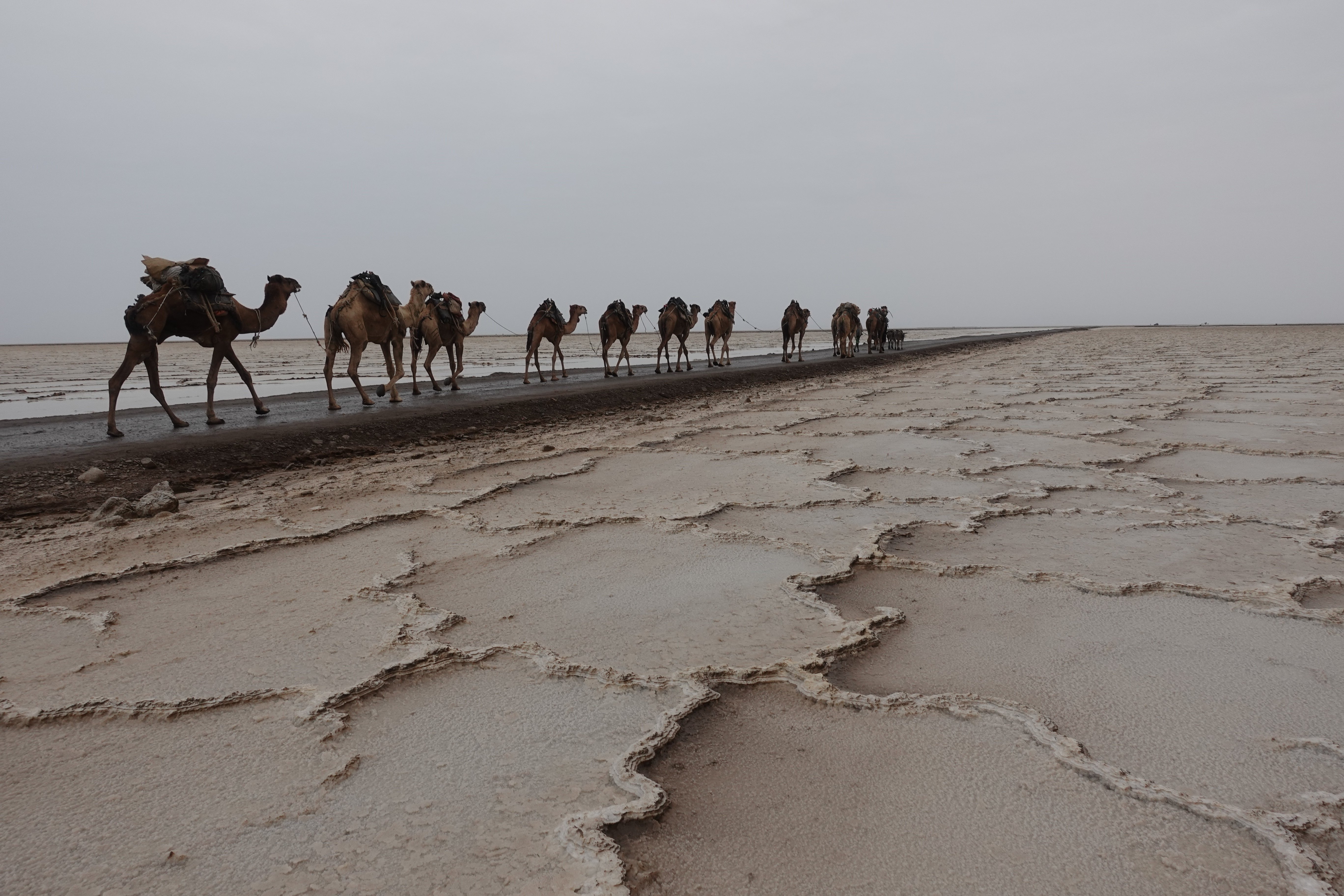 Danakil Depression