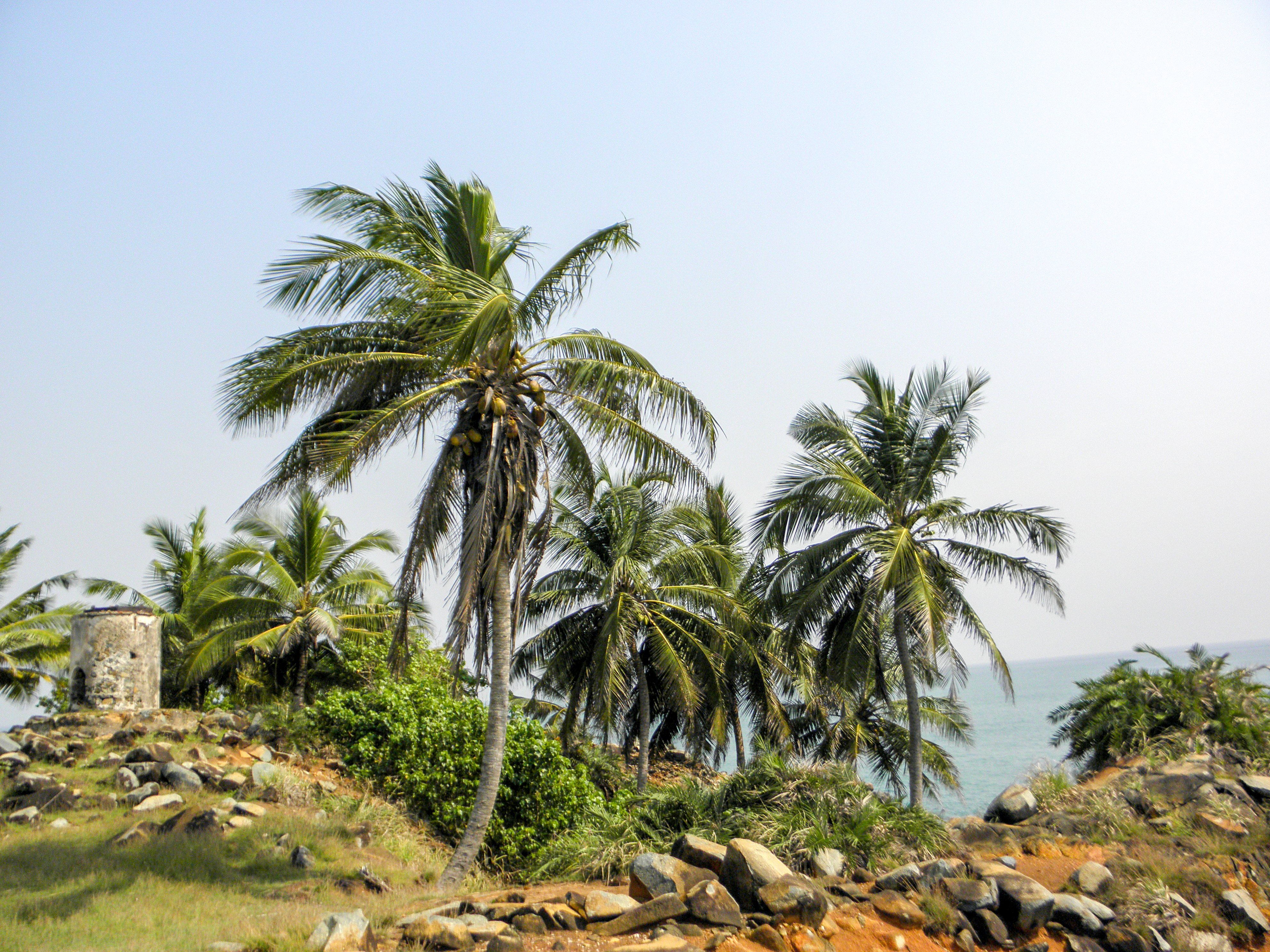 Cape Three Points