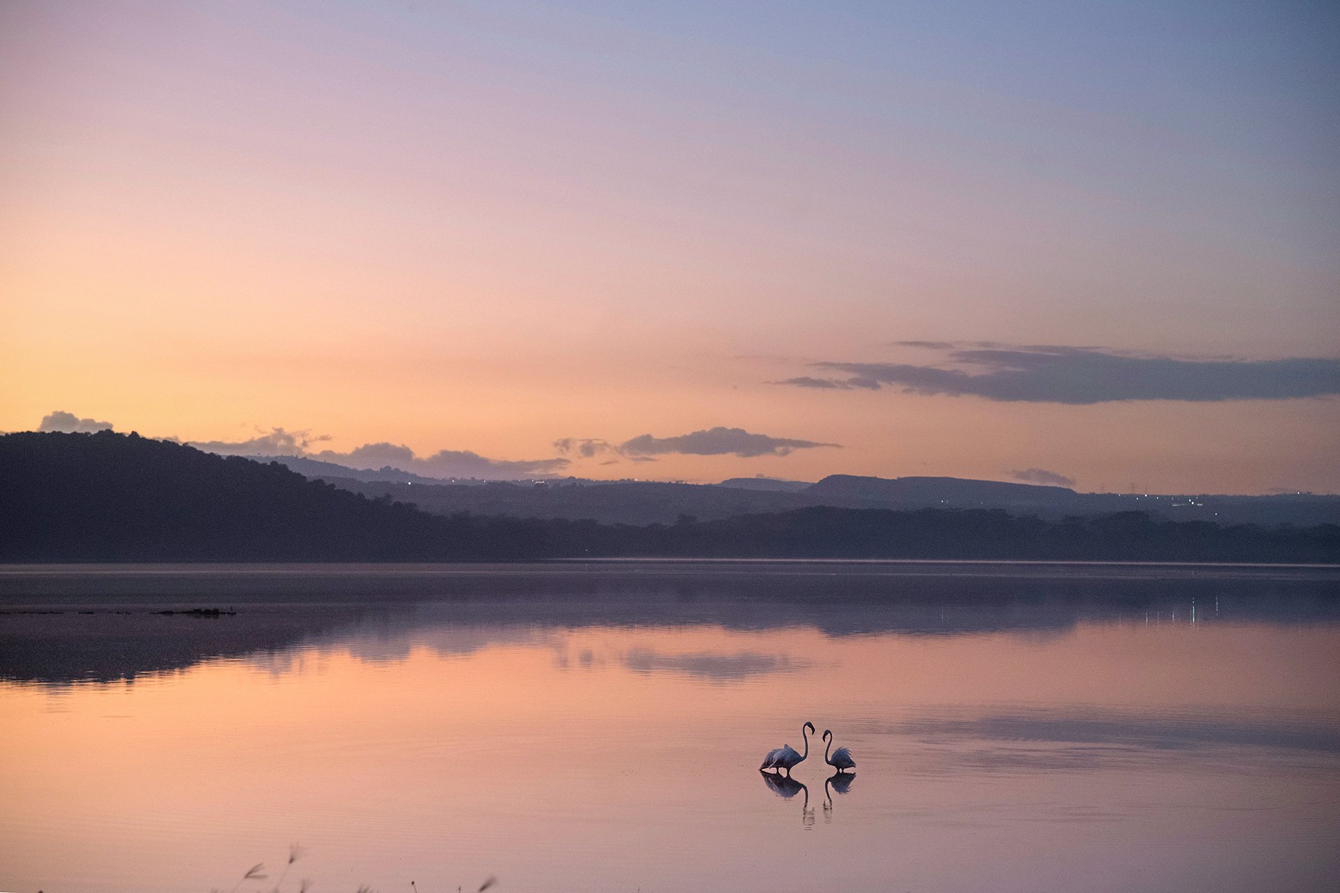 Lake Elmenteita