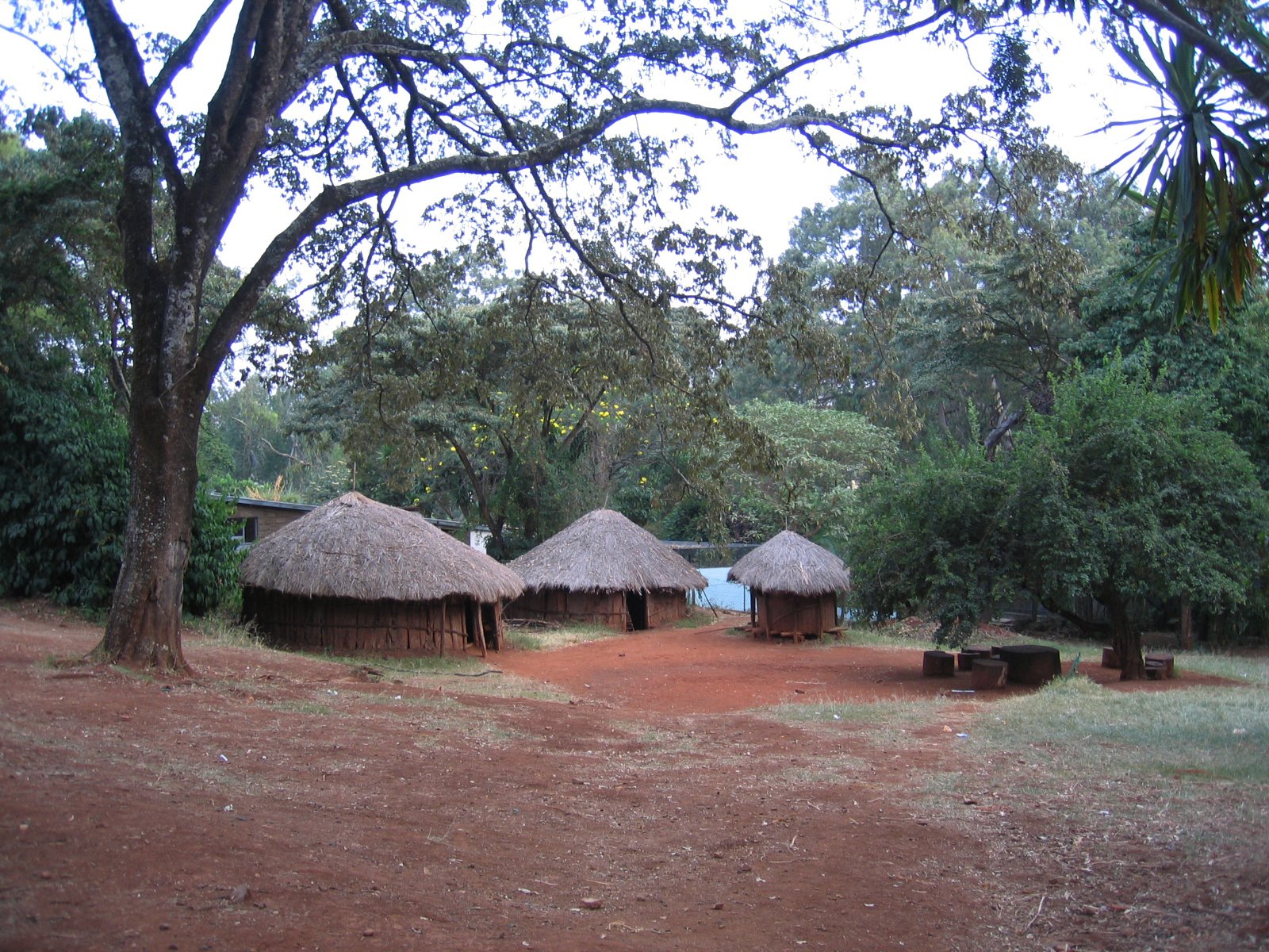 Bomas of Kenya