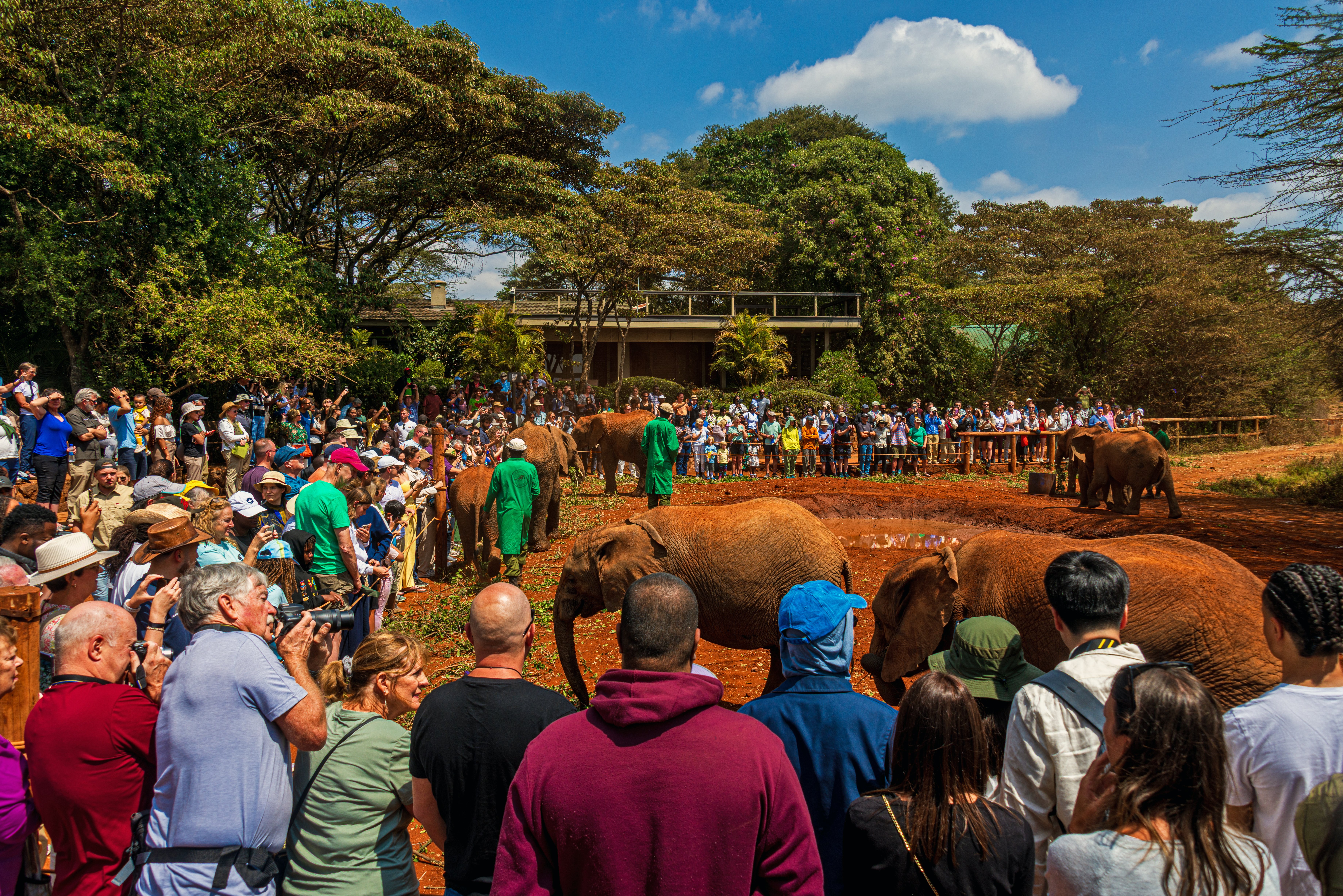 David Sheldrick Wildlife Trust