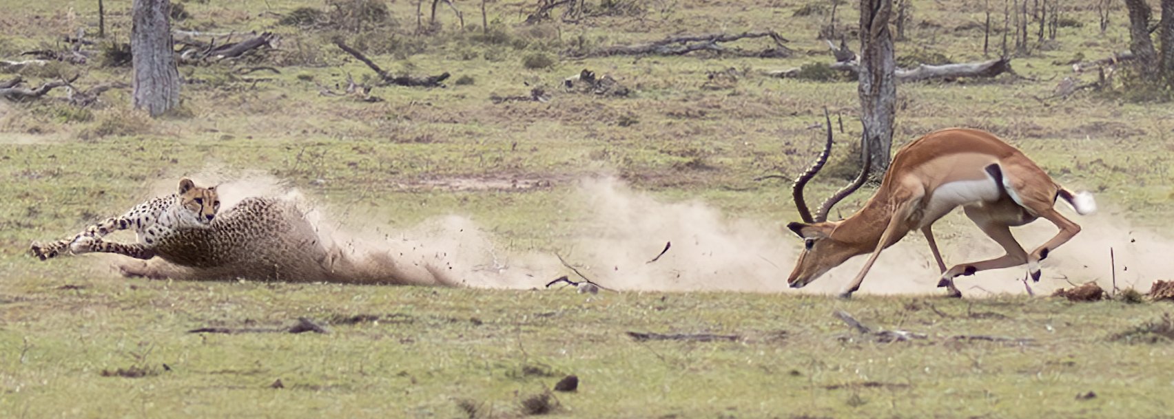 Masai Mara N.R.