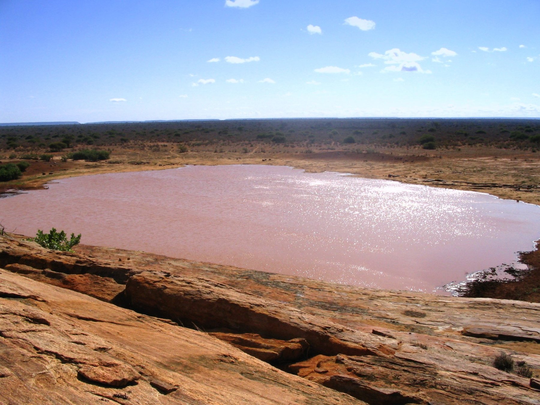 Tsavo N.P.