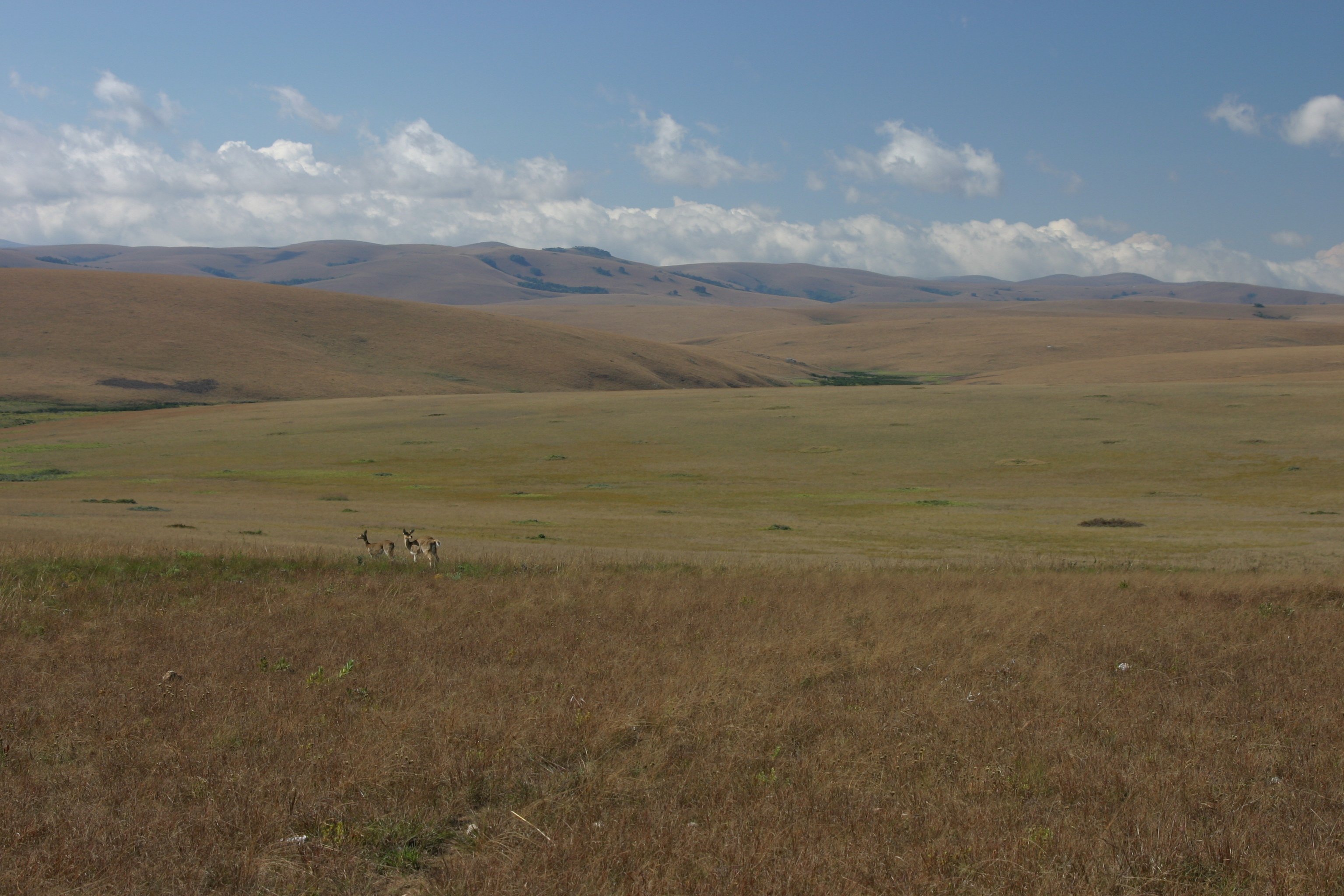 Nyika National Park