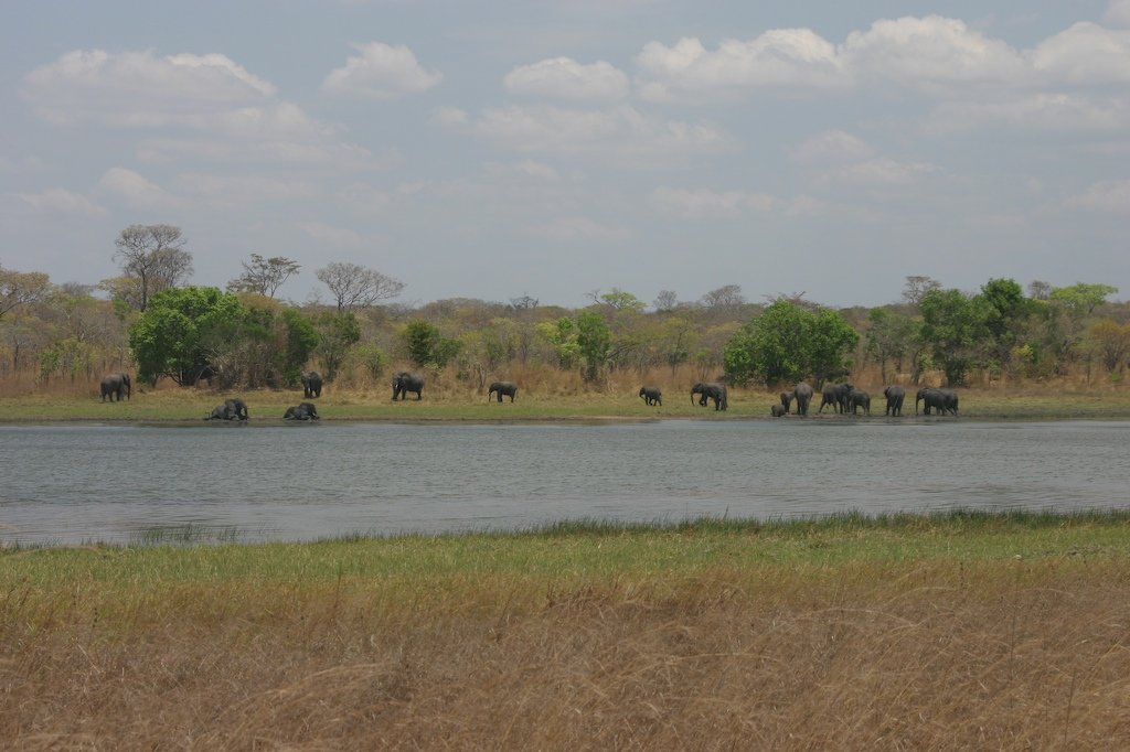 Zomba Plateau