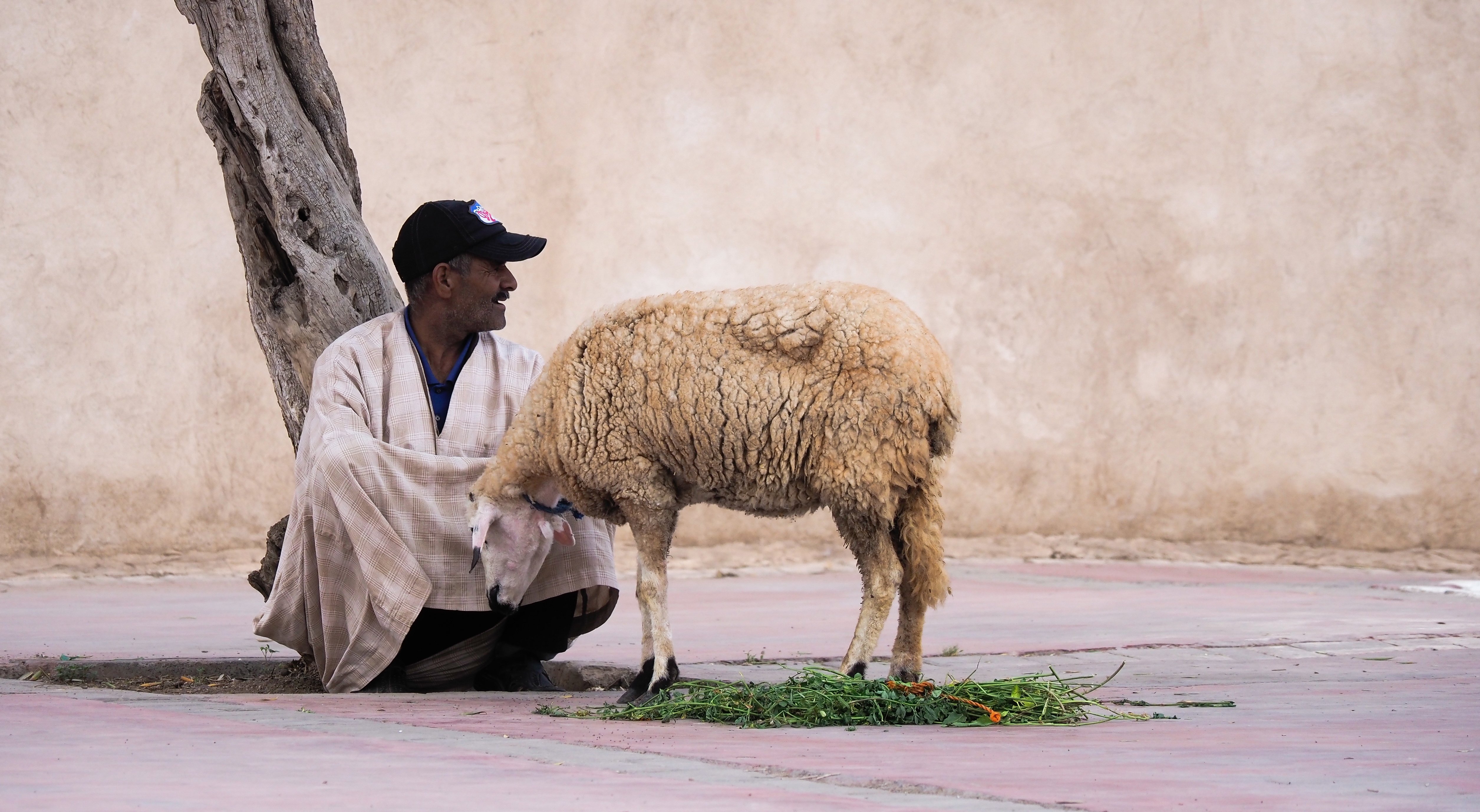 Marrakesh