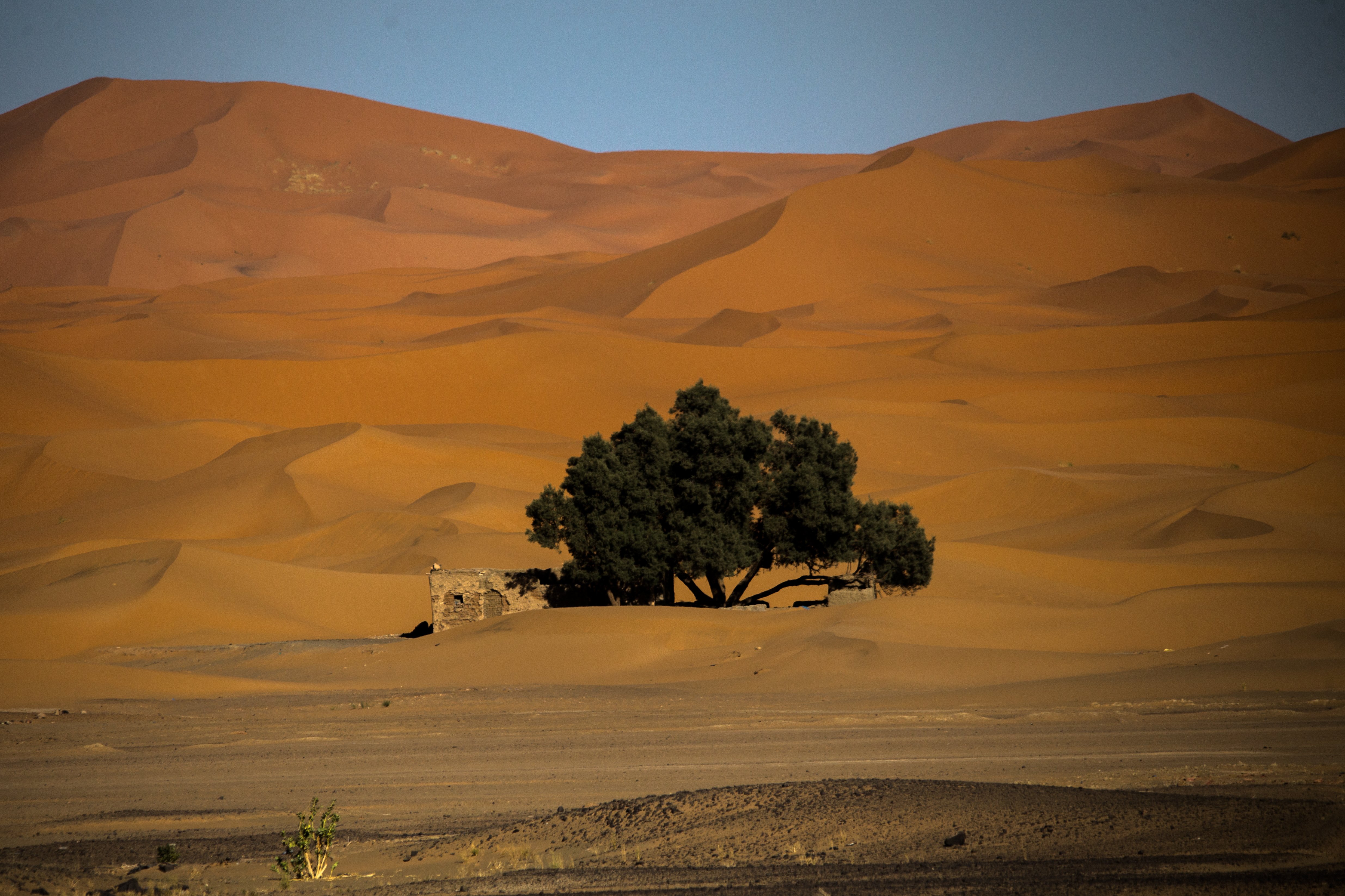 Merzouga