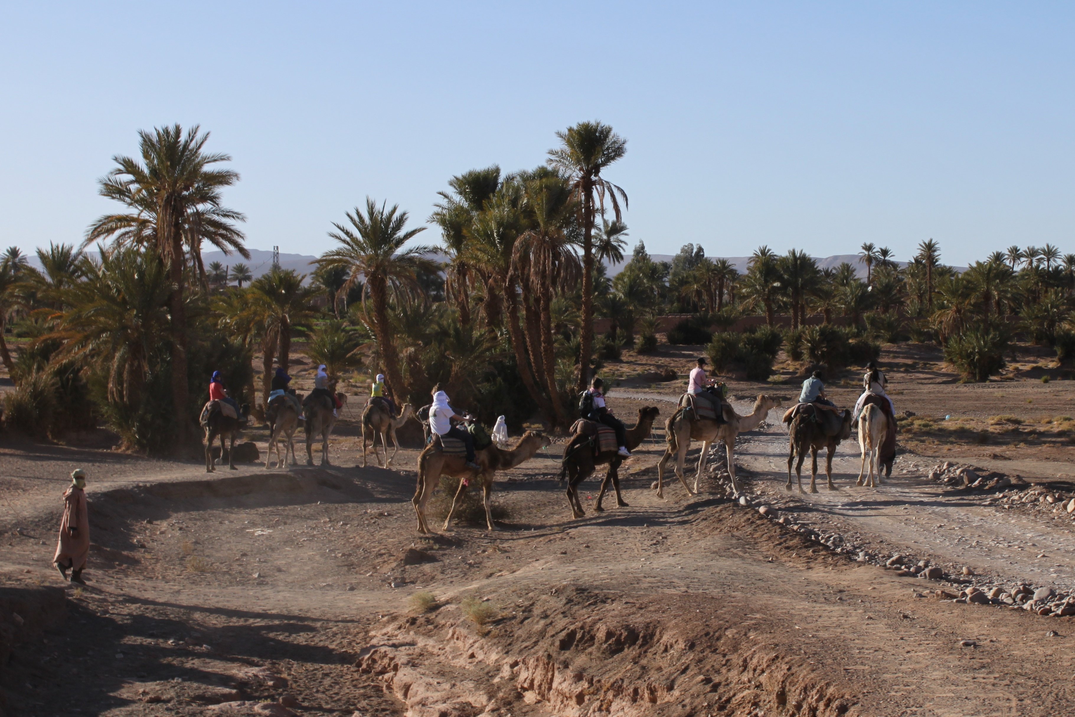 Zagora