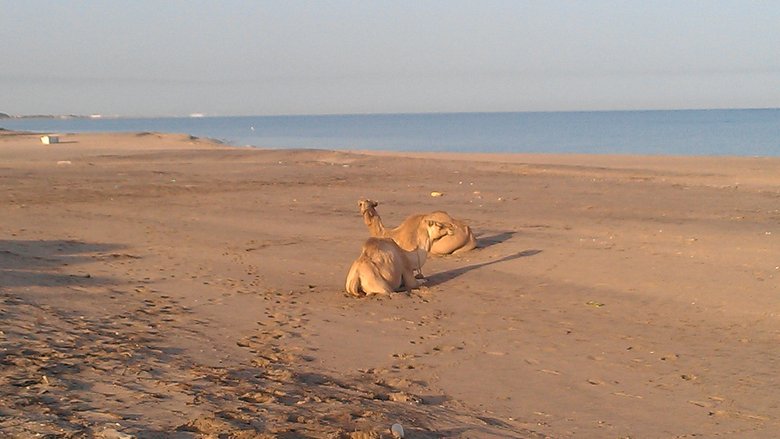 Somaliland