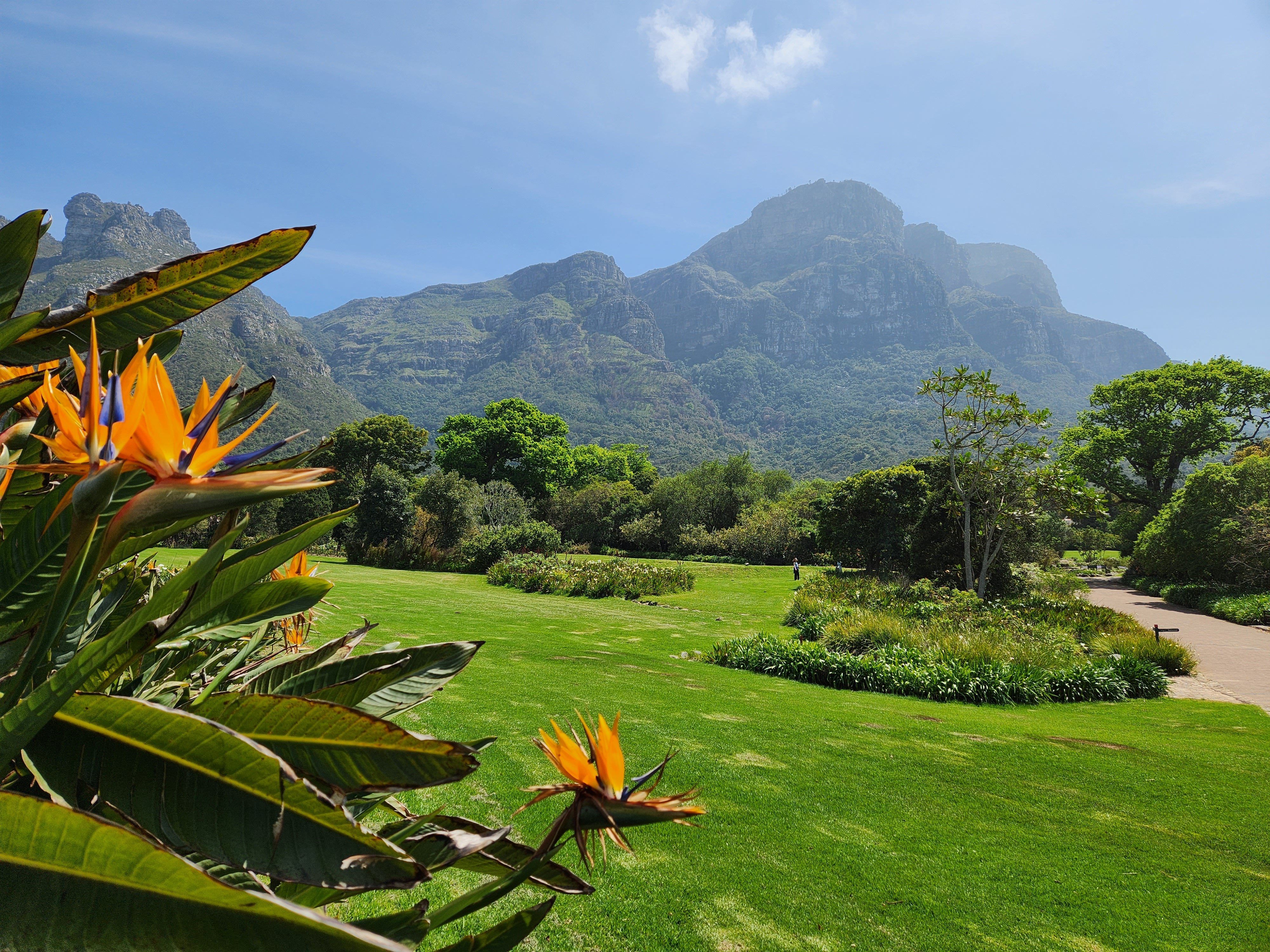 Southern Suburbs