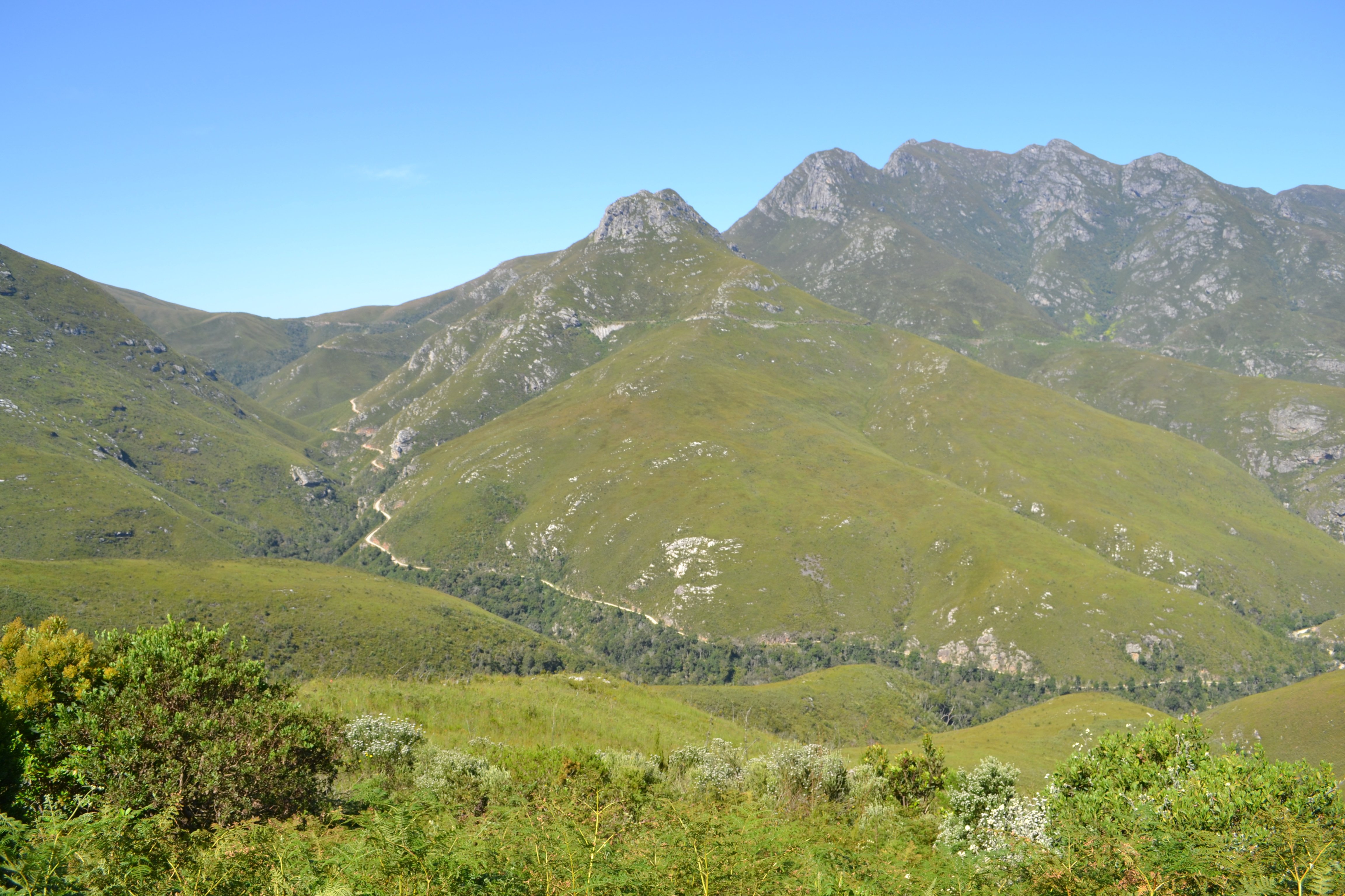 Montagu Pass