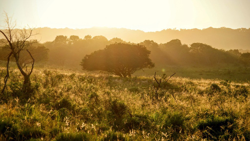 KwaZulu-Natal
