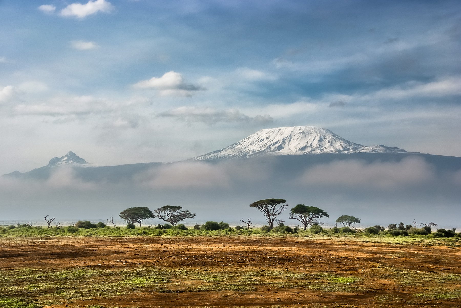 Kilimanjaro