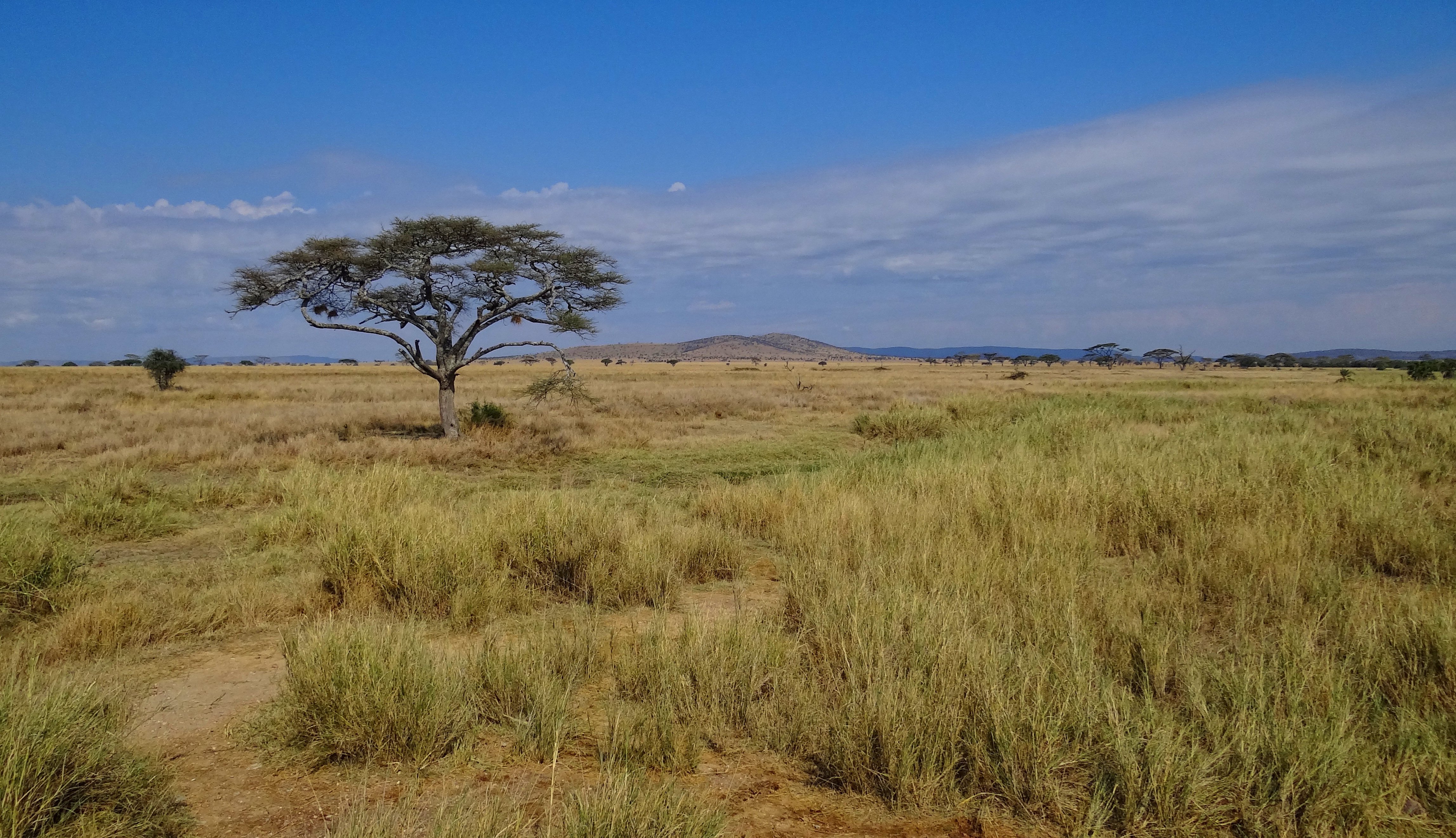 Serengeti National Park