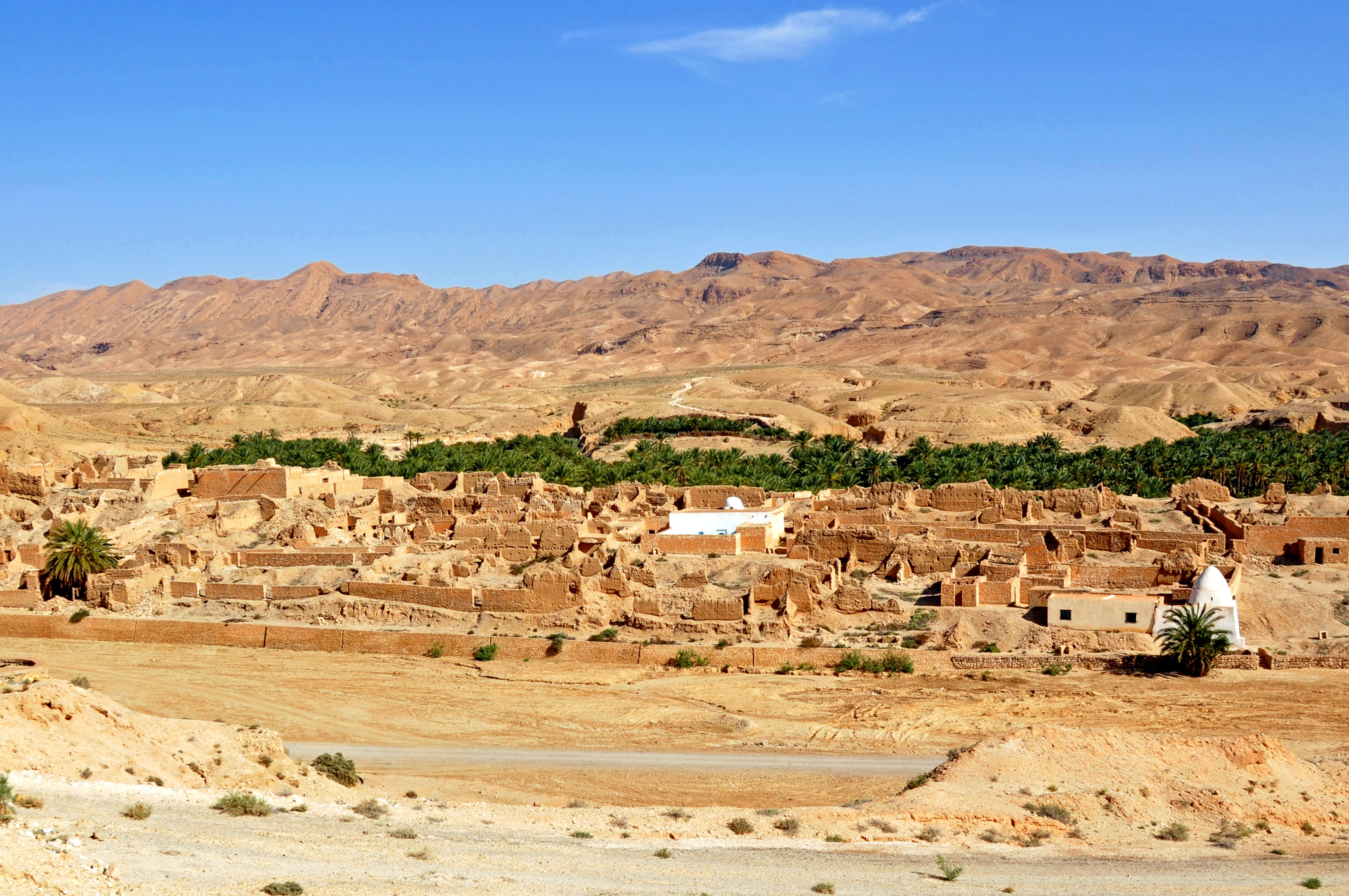 Tamerza