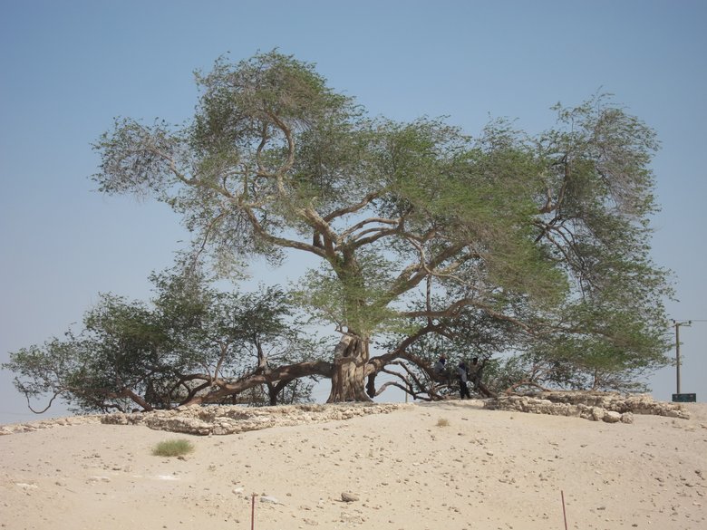 Bahrain