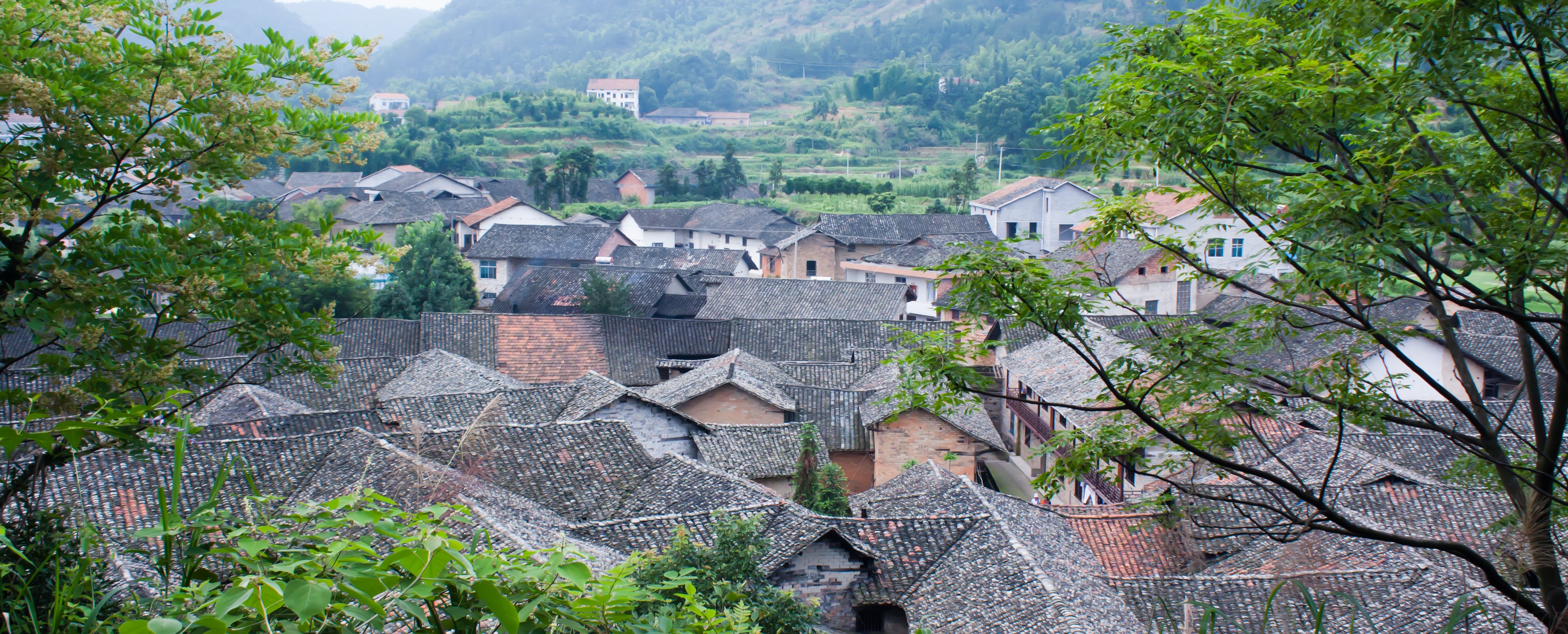 Zhangguying Village