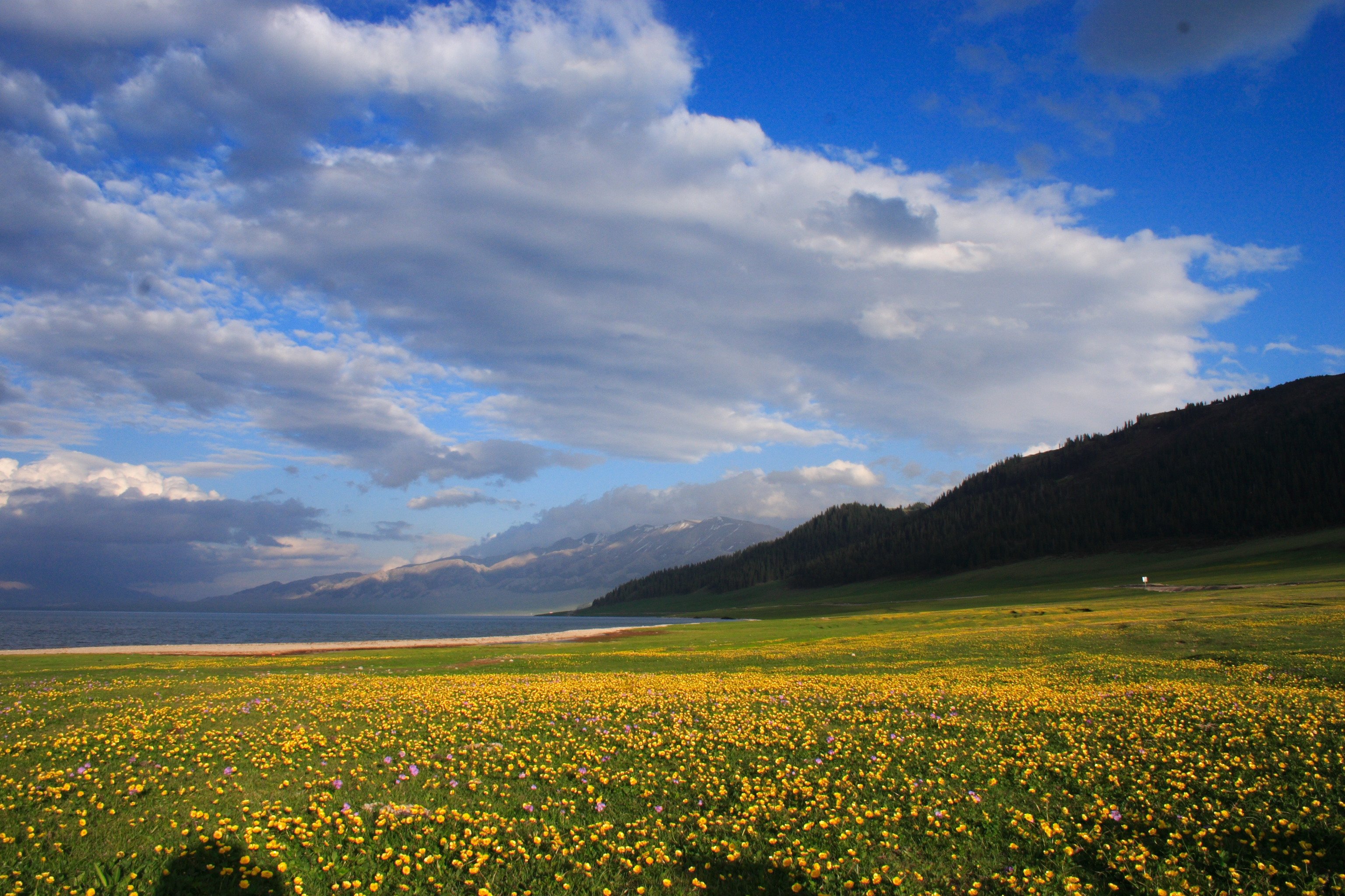 Xinjiang