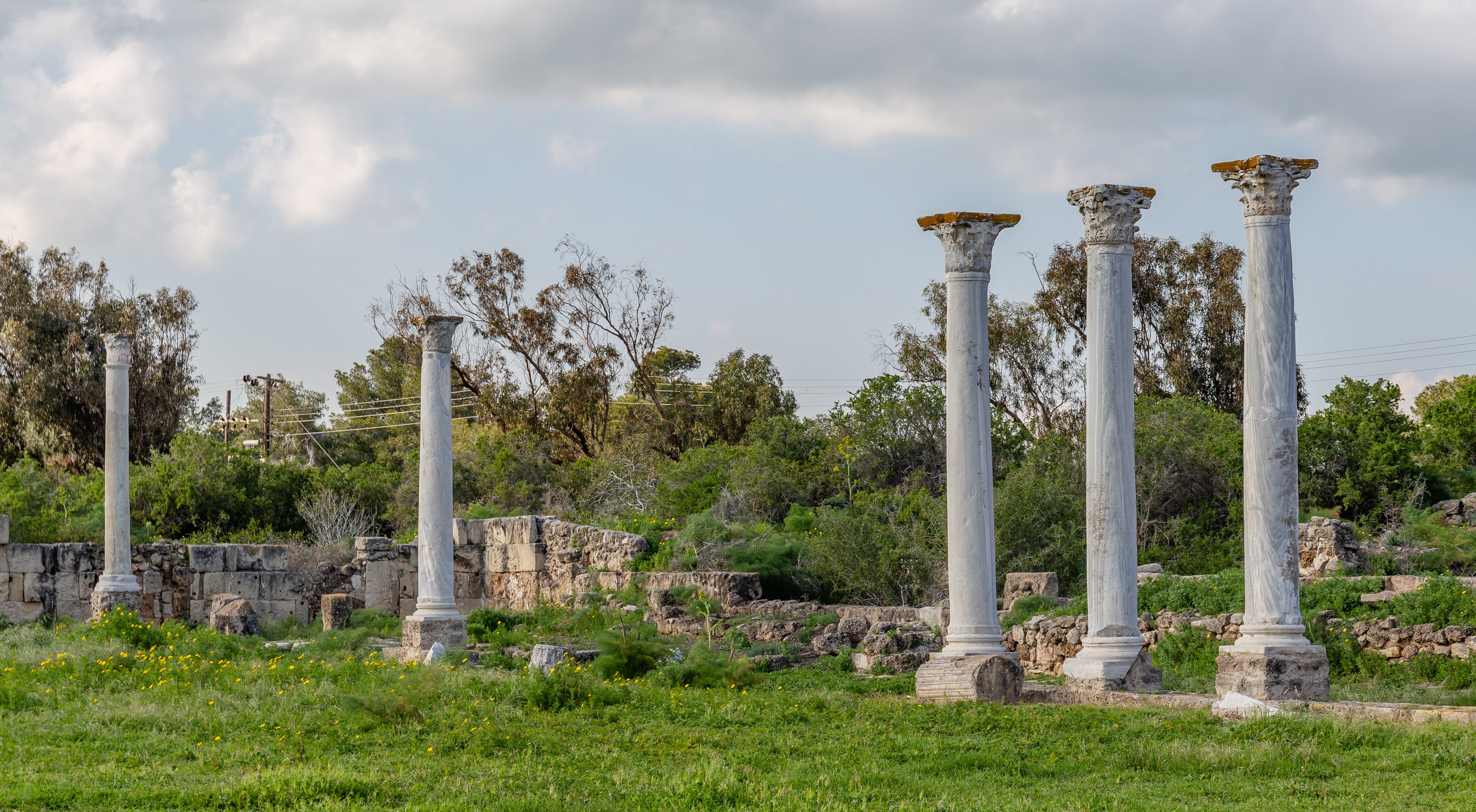Salamis