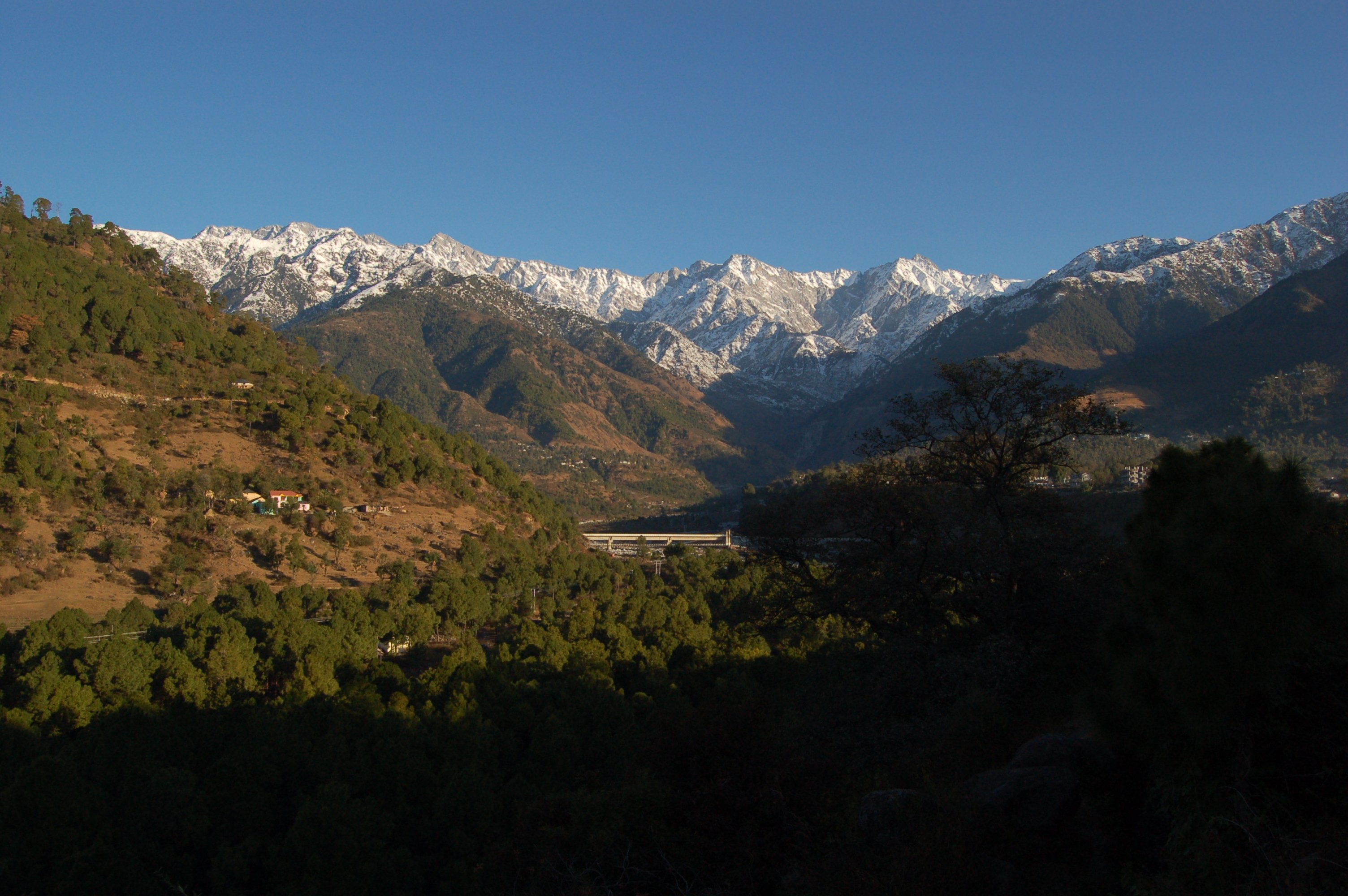 Palampur