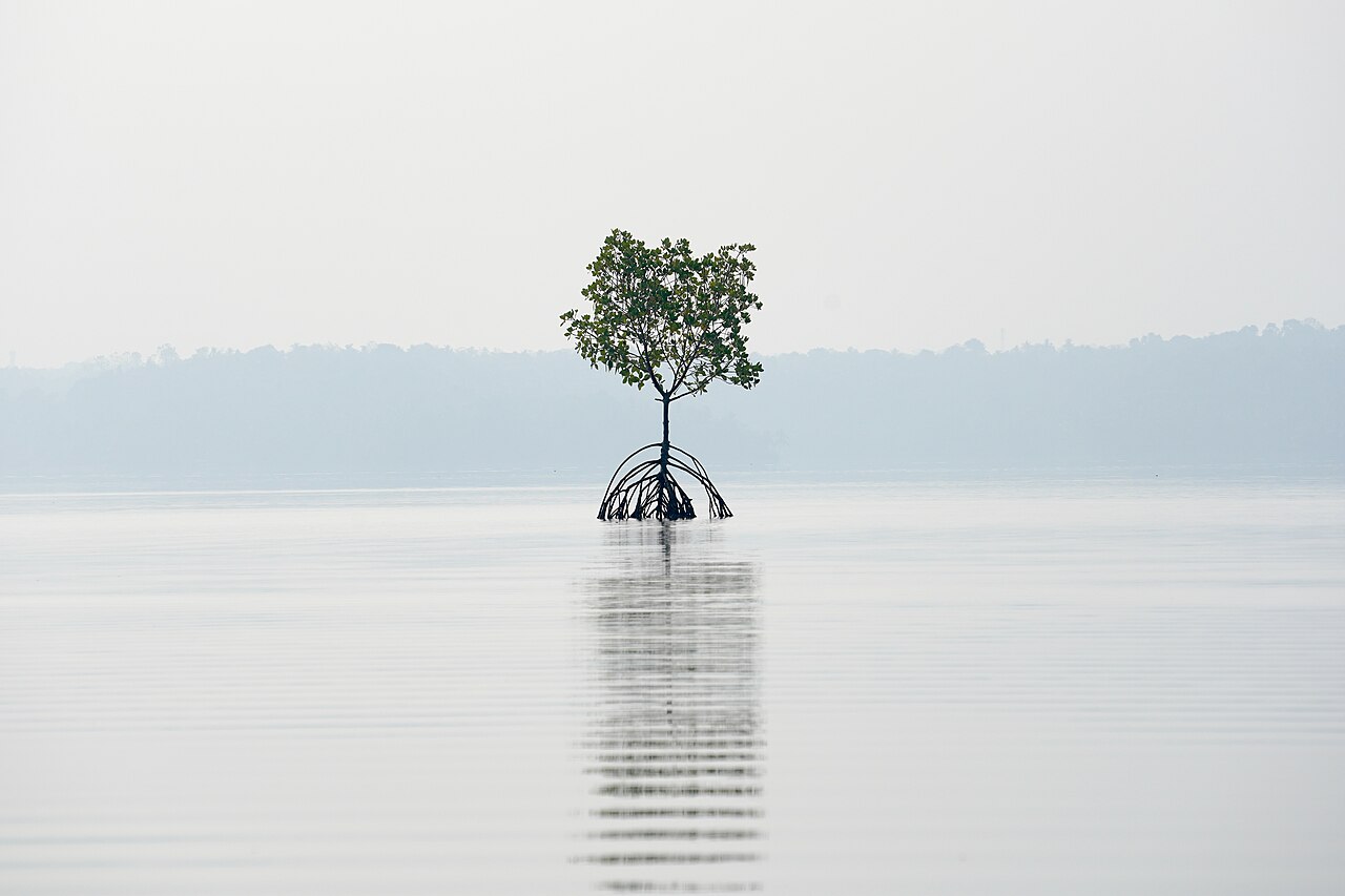 Kollam