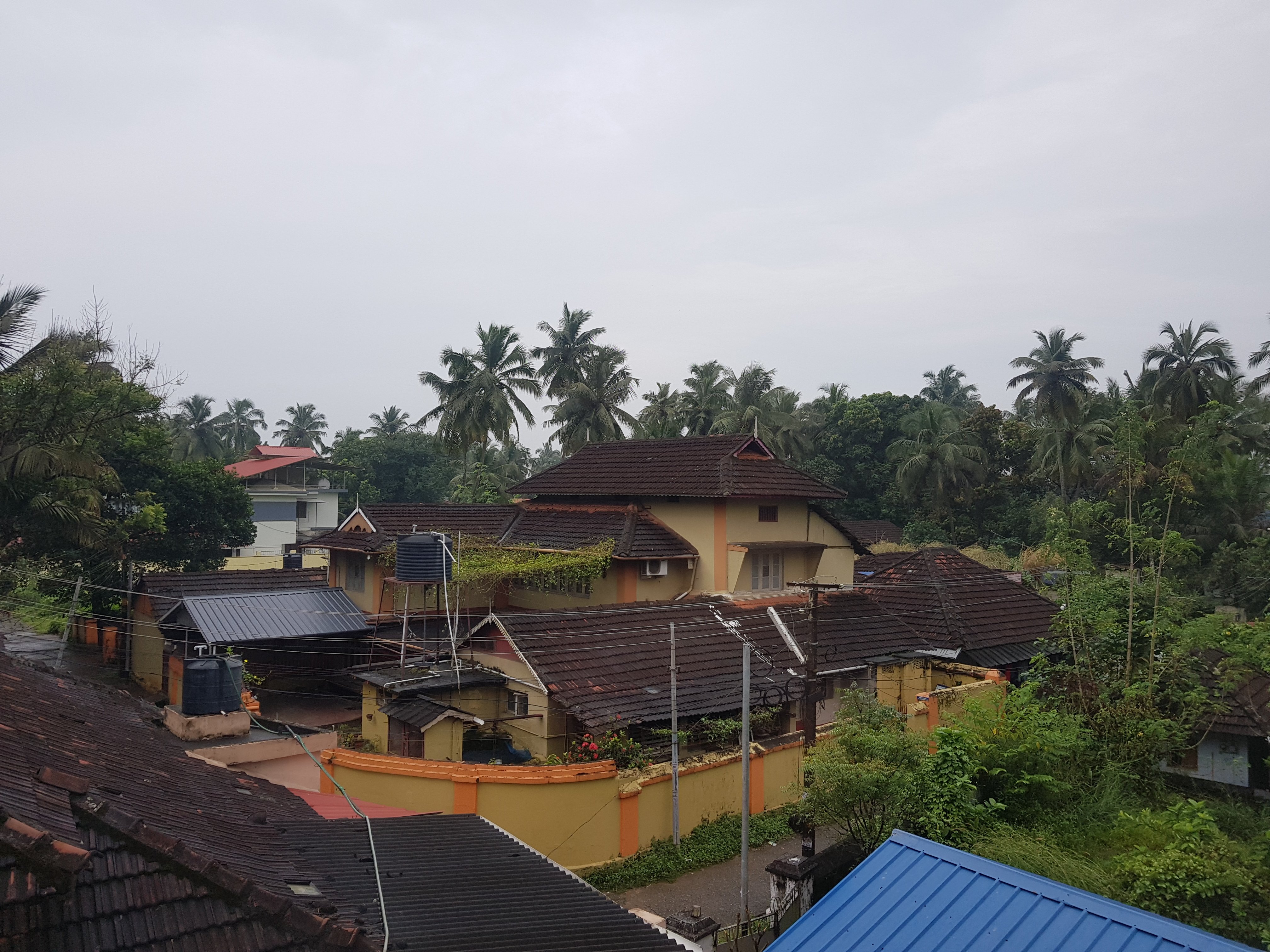 Palakkad
