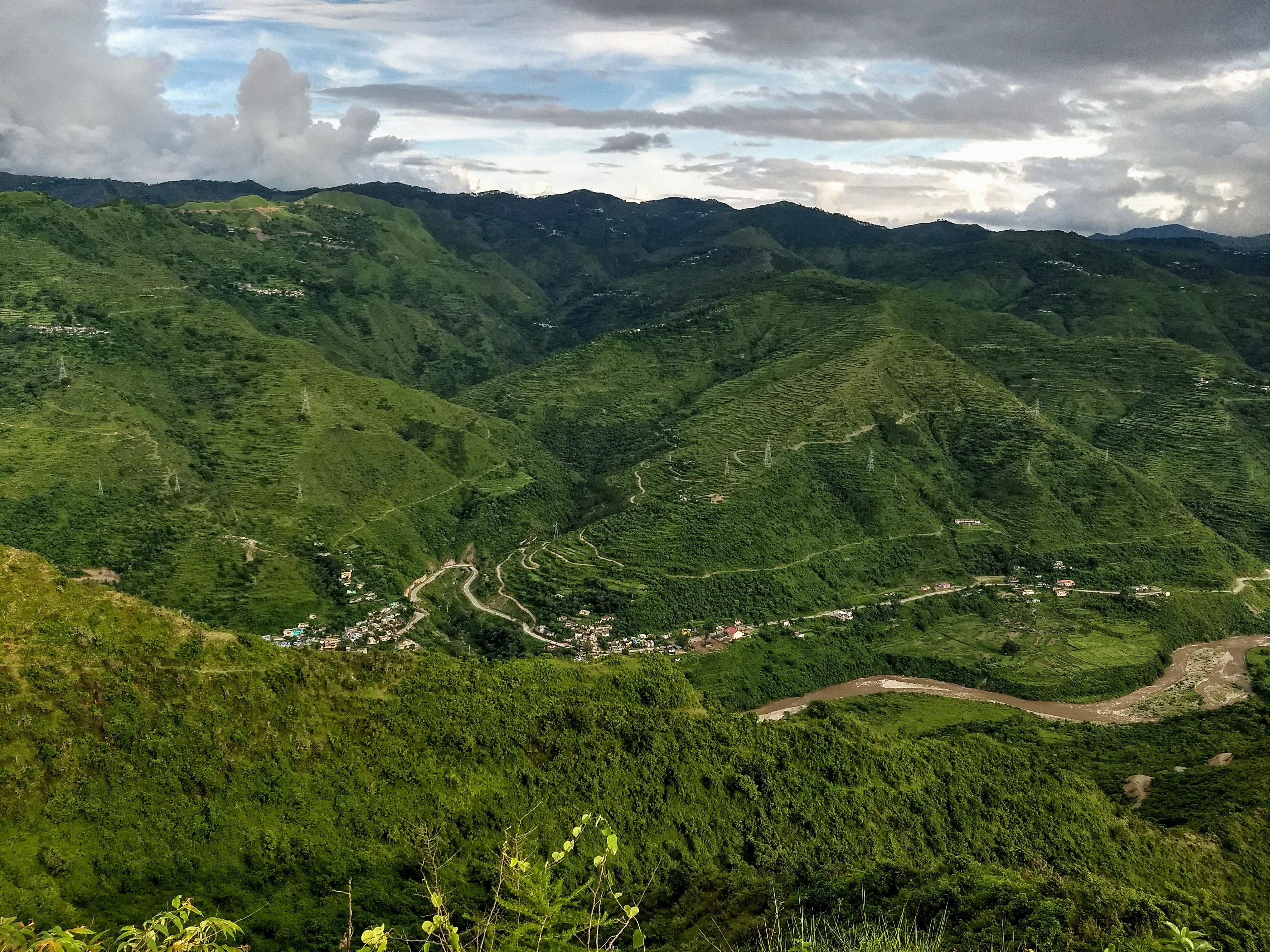 Pauri