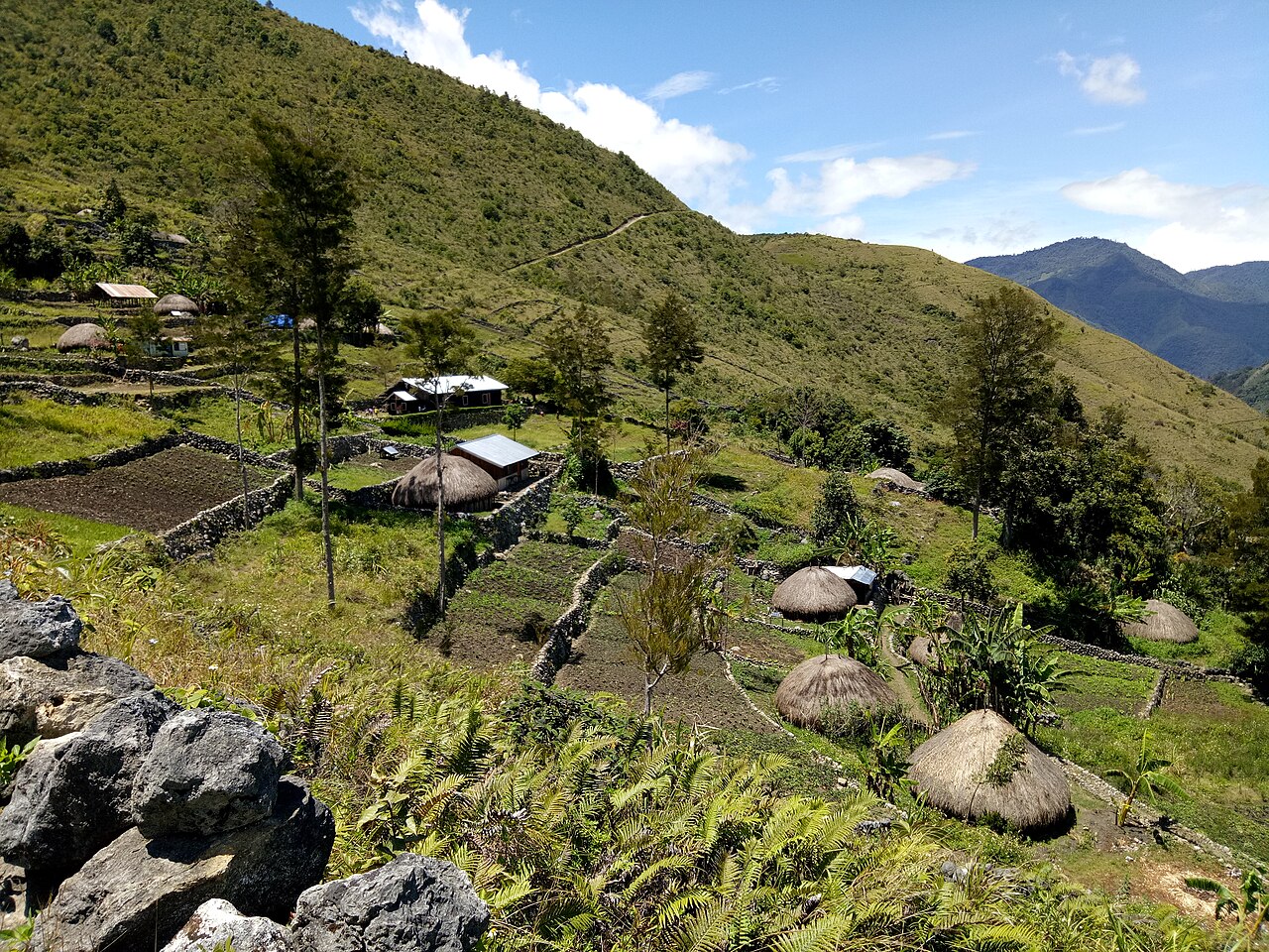 Baliem Valley