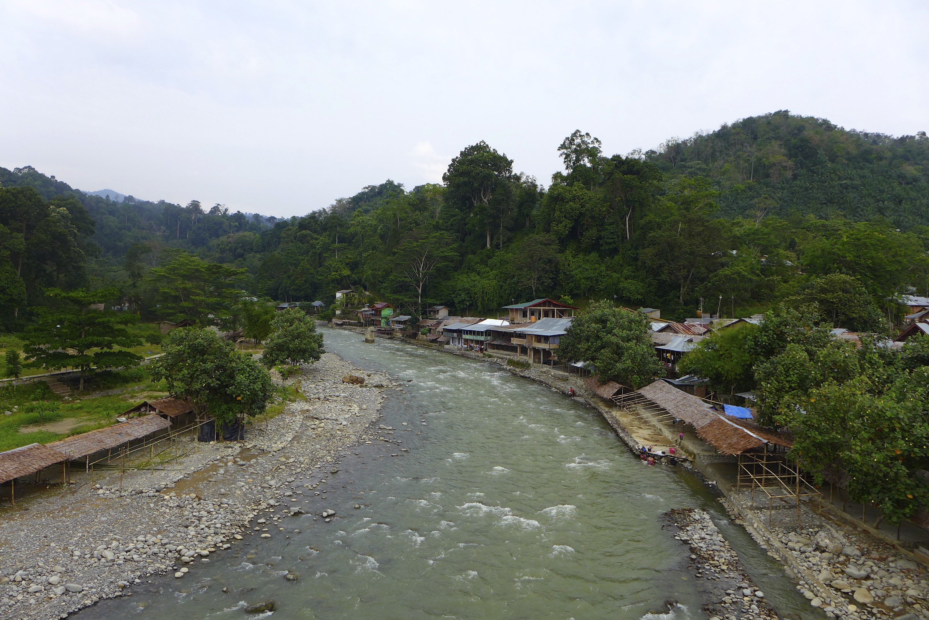 Gunung Leuser National Park