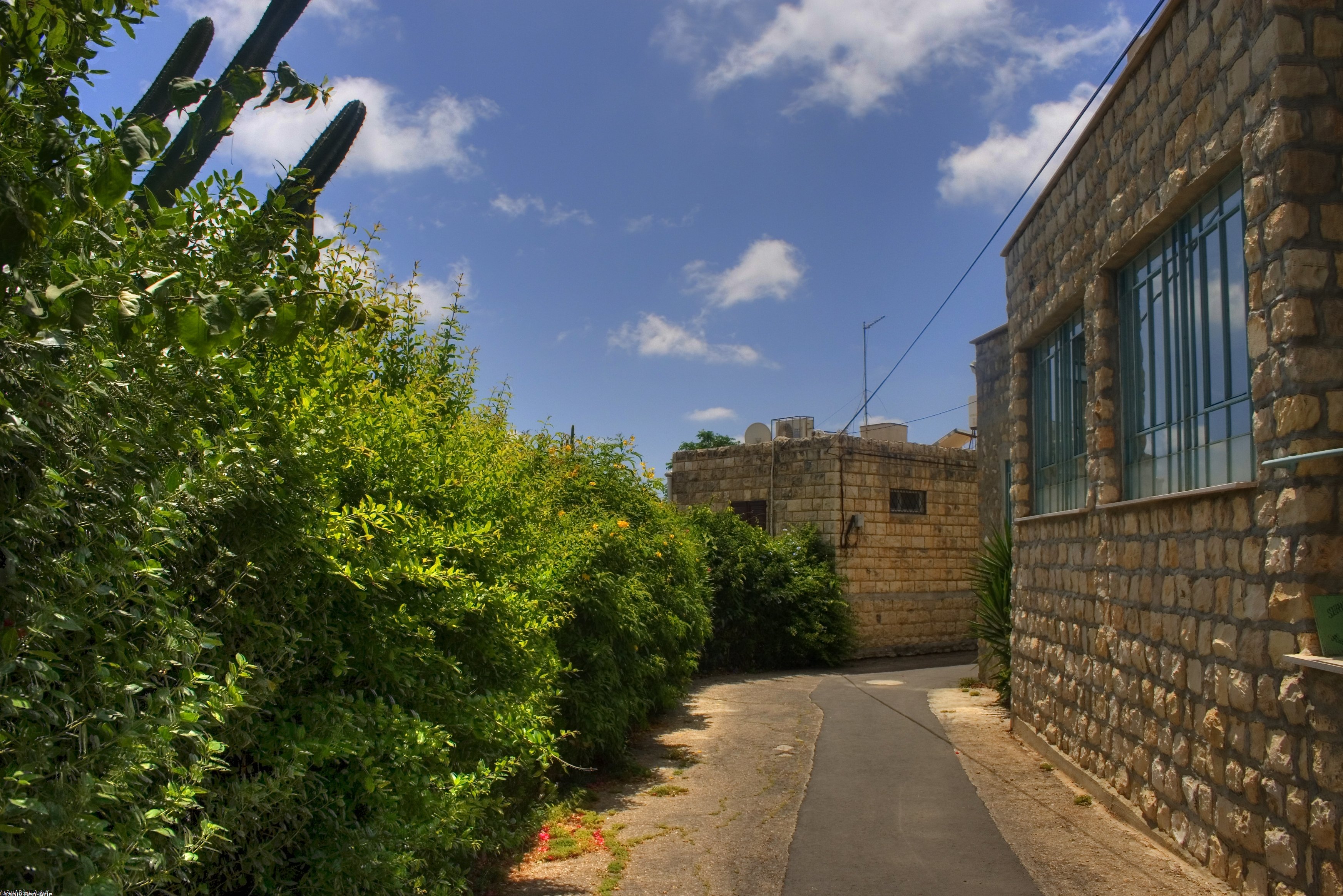 Ein Hod