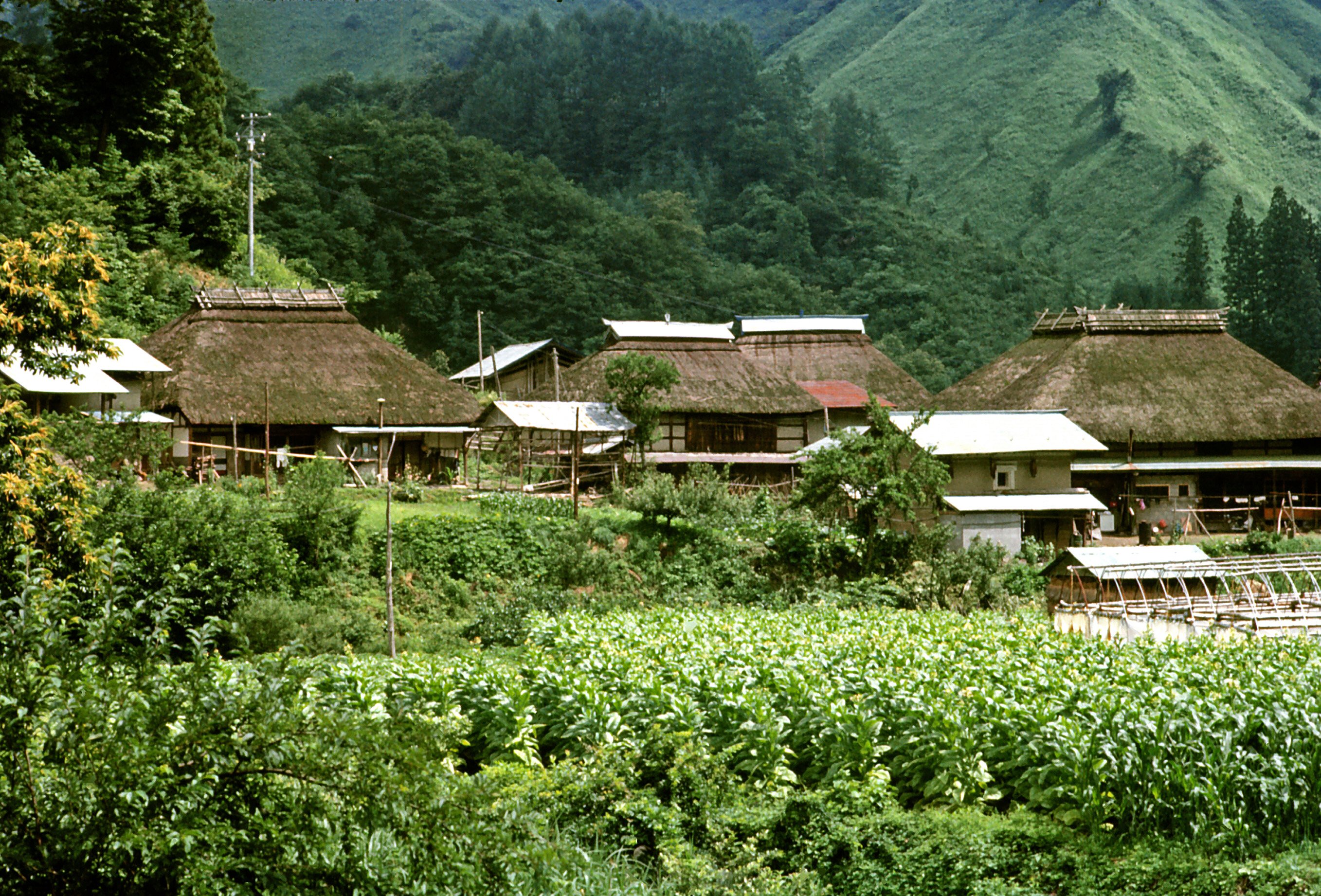 Hakuba