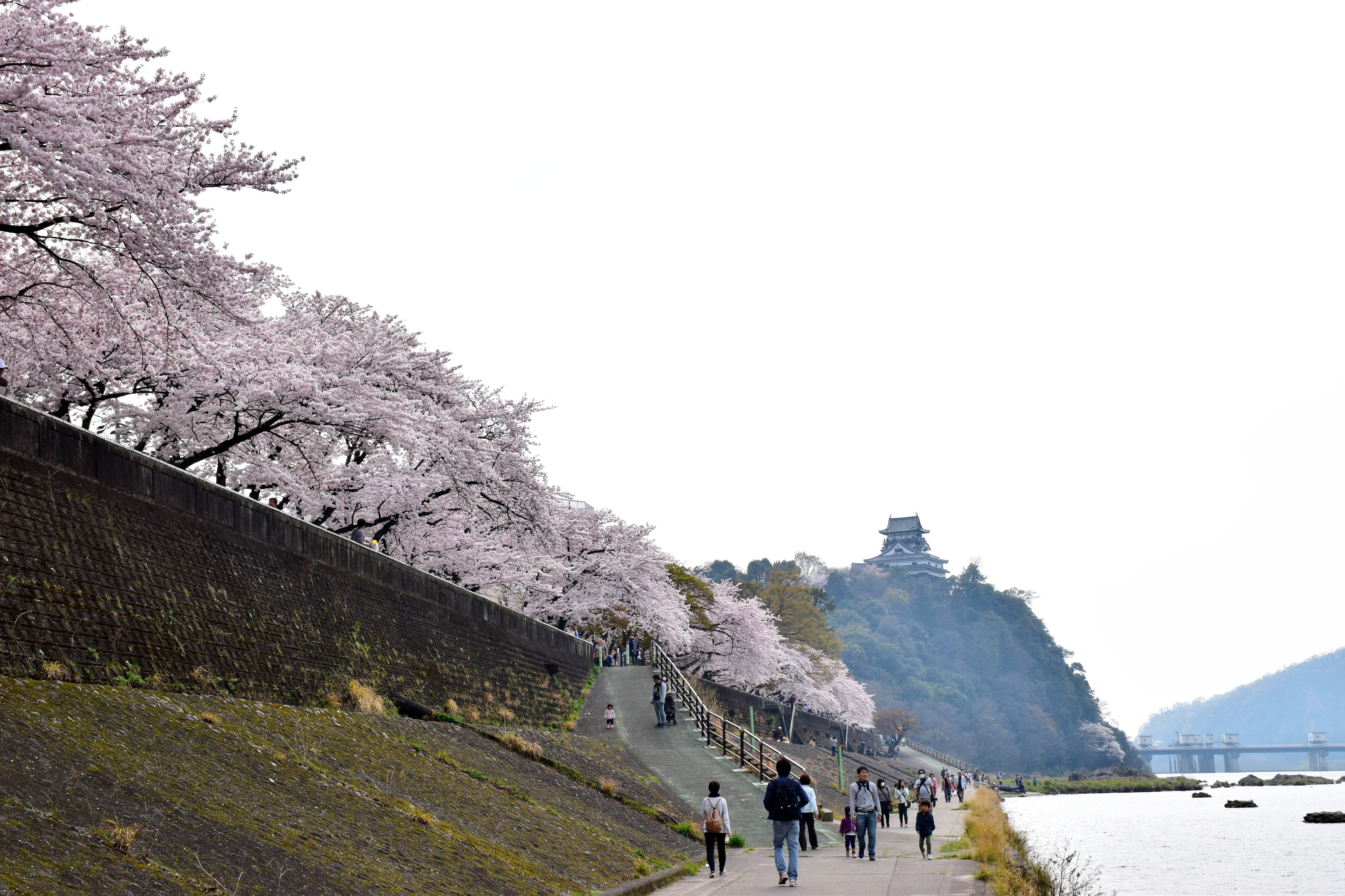 Inuyama