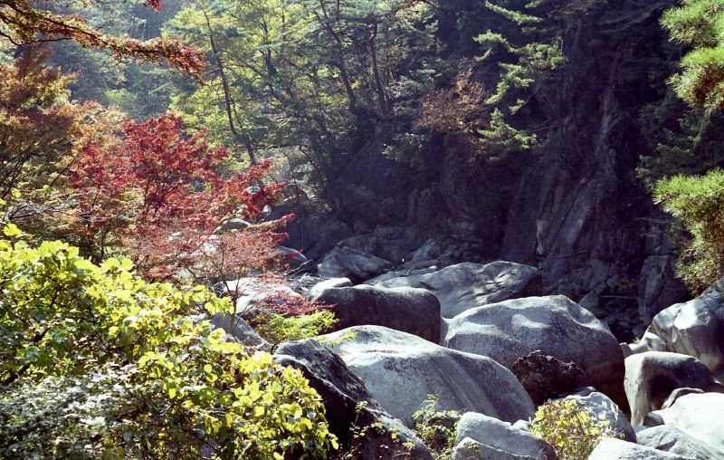 Kofu