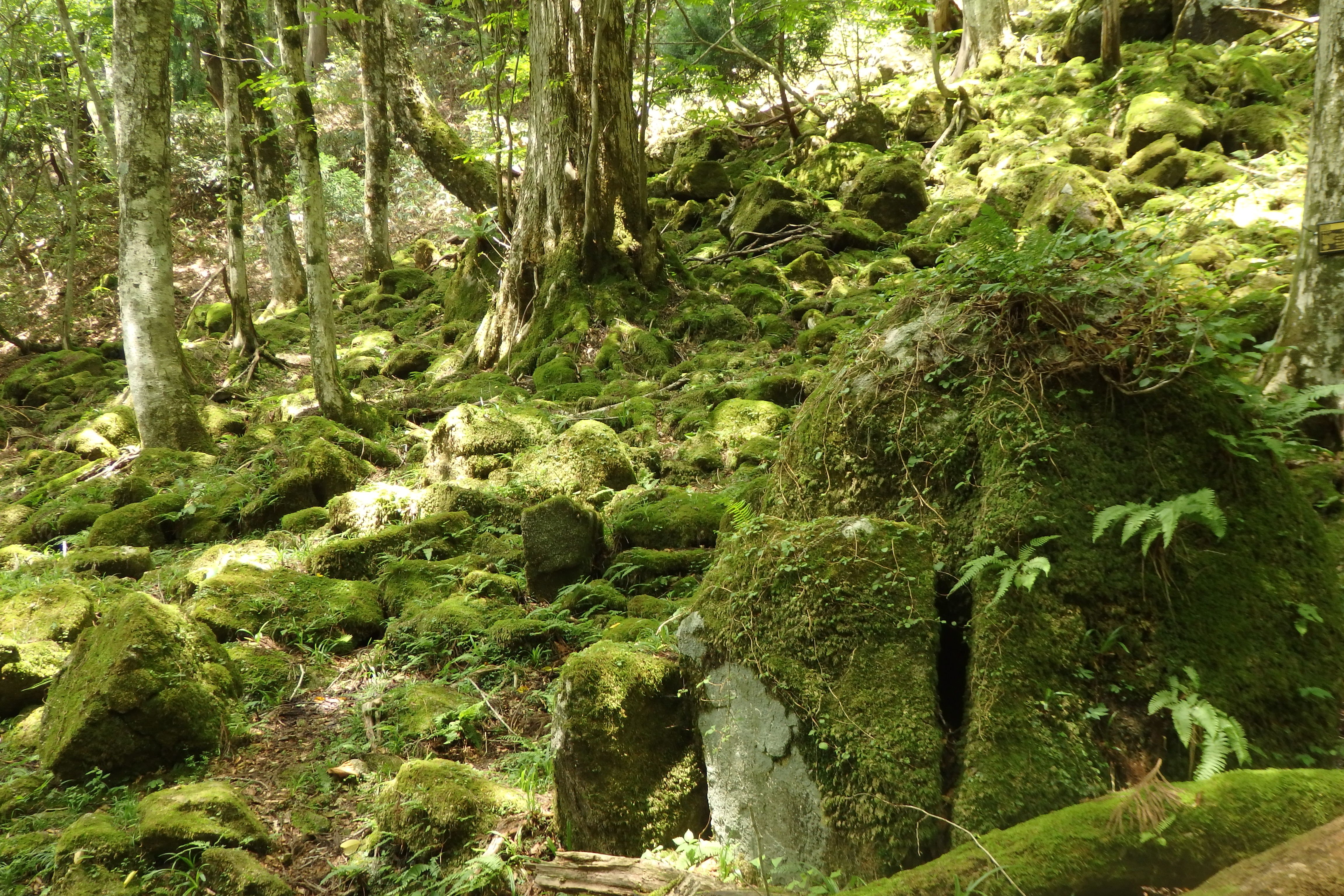Nishiawakura