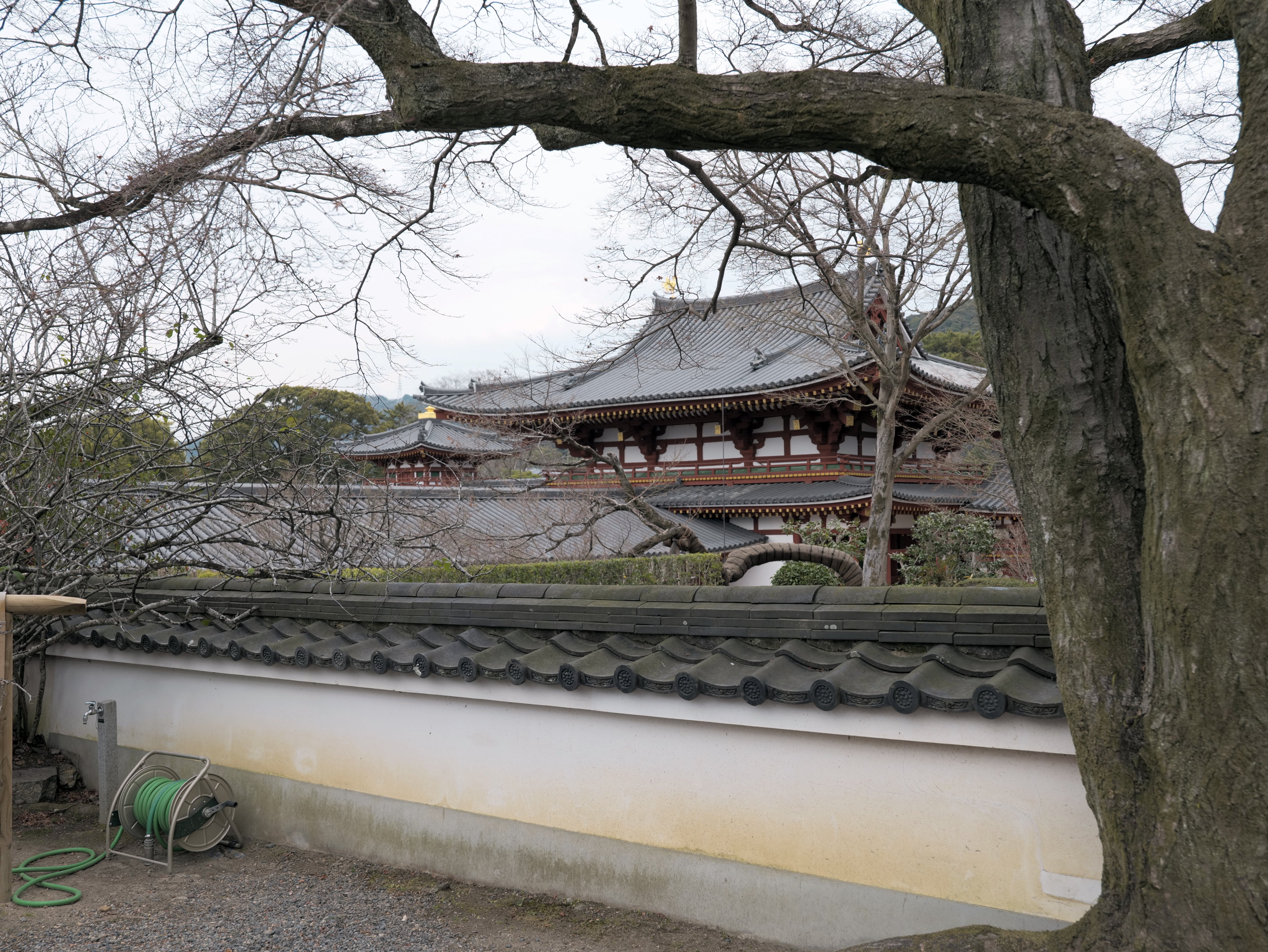 Byōdō-in