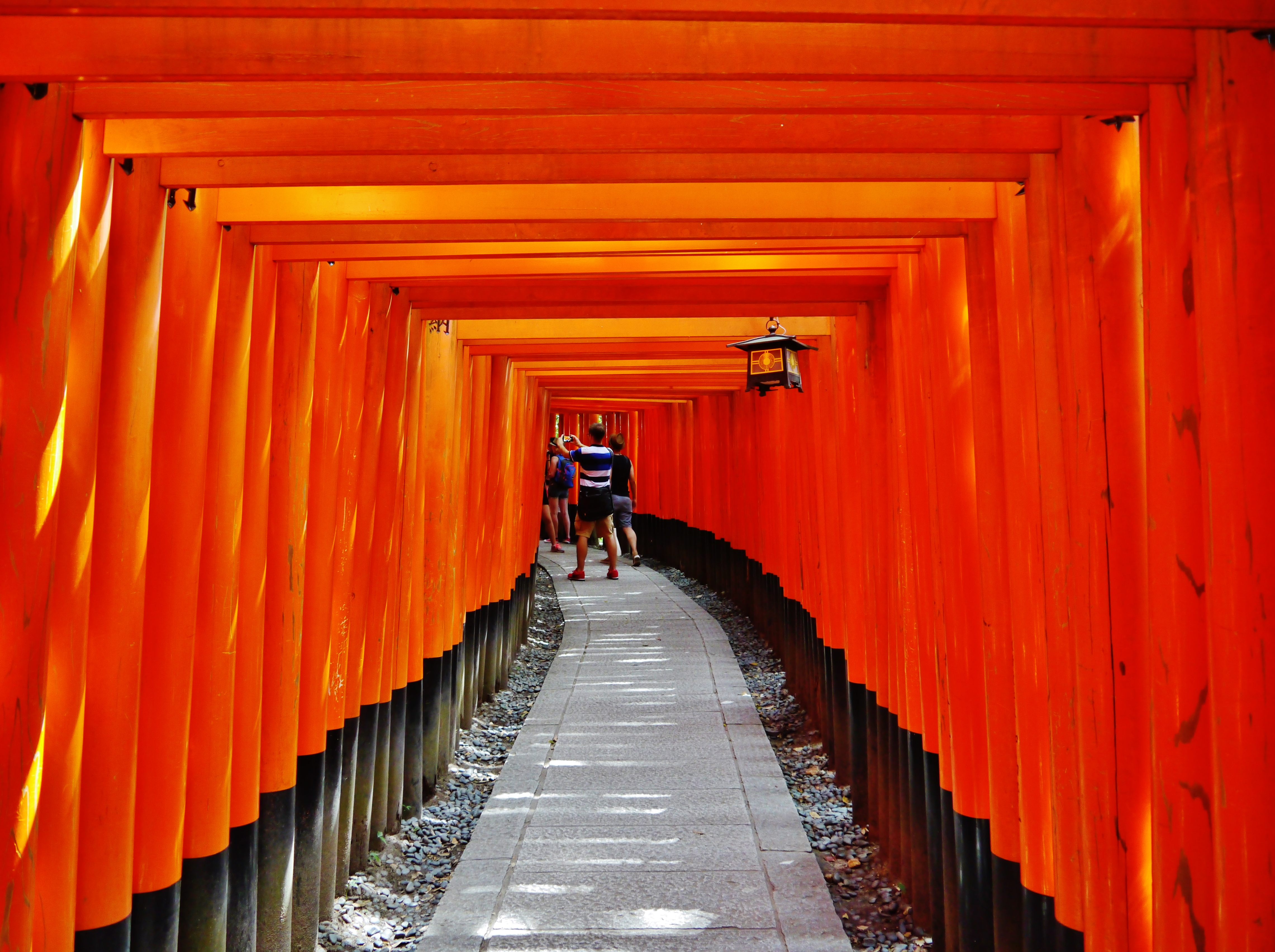 Fushimi