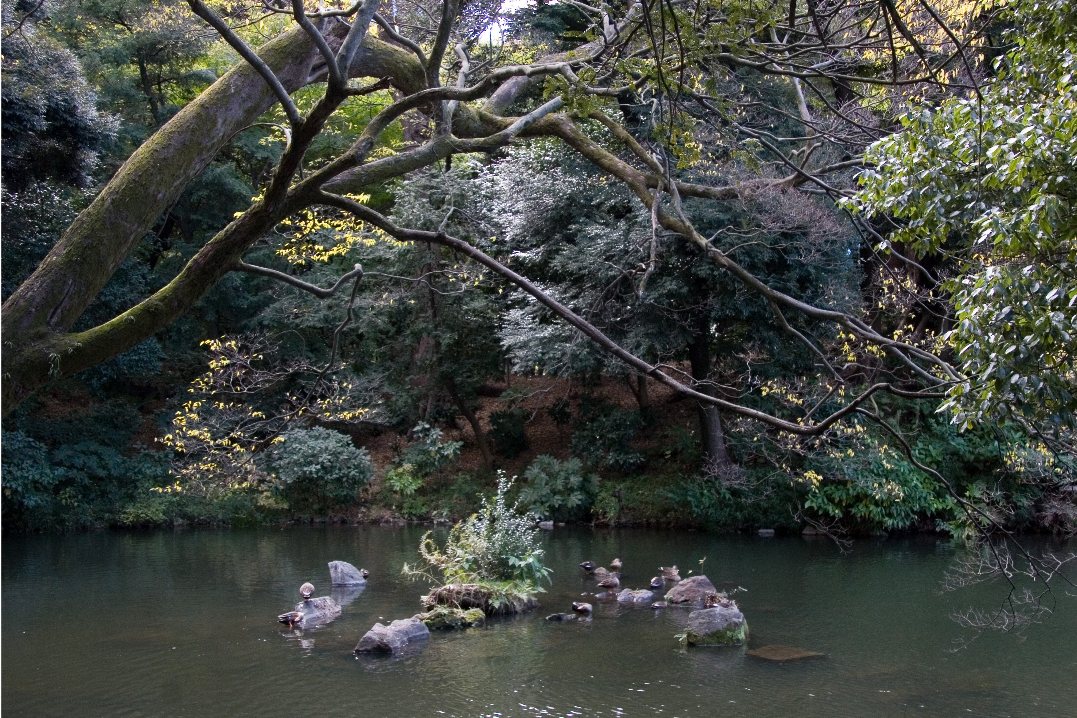Chikubu-shima