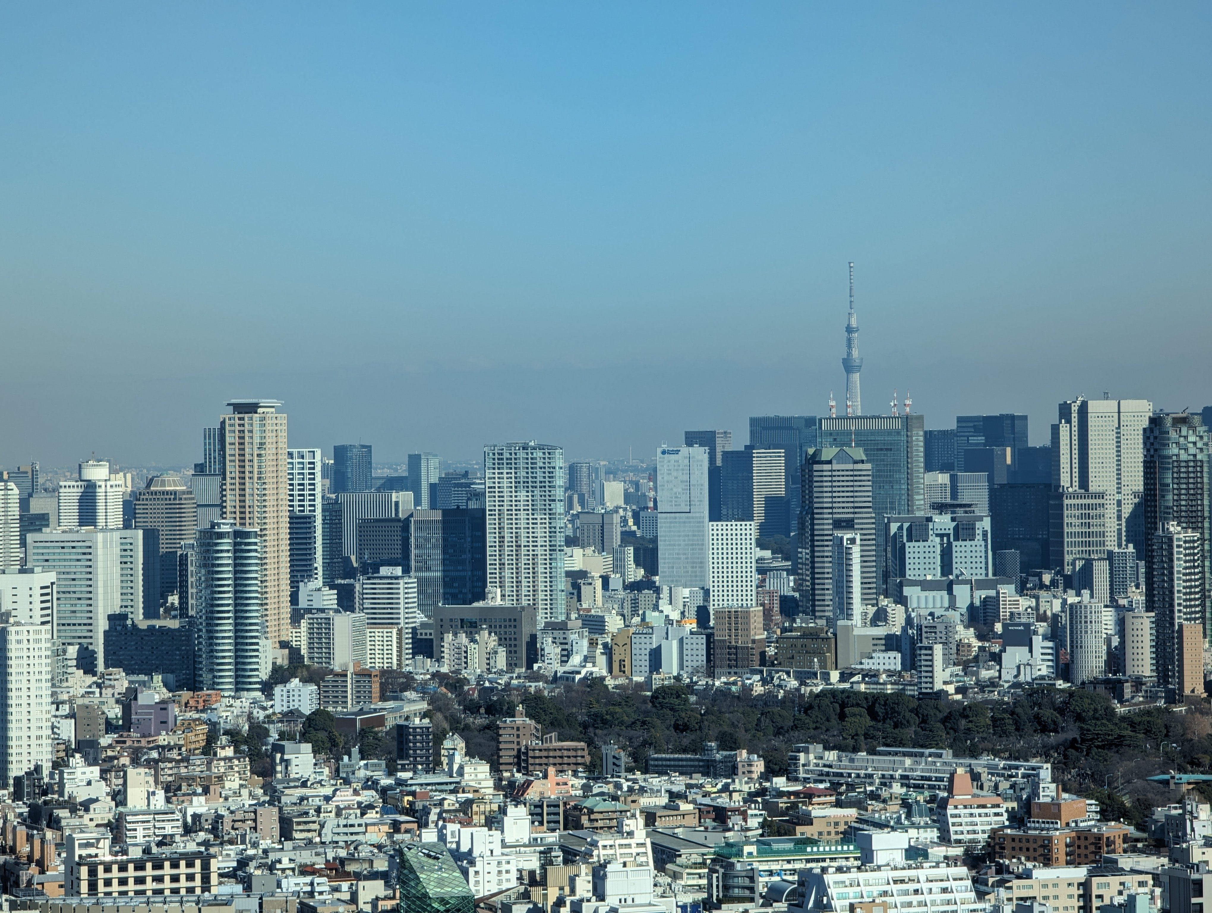 Shibuya