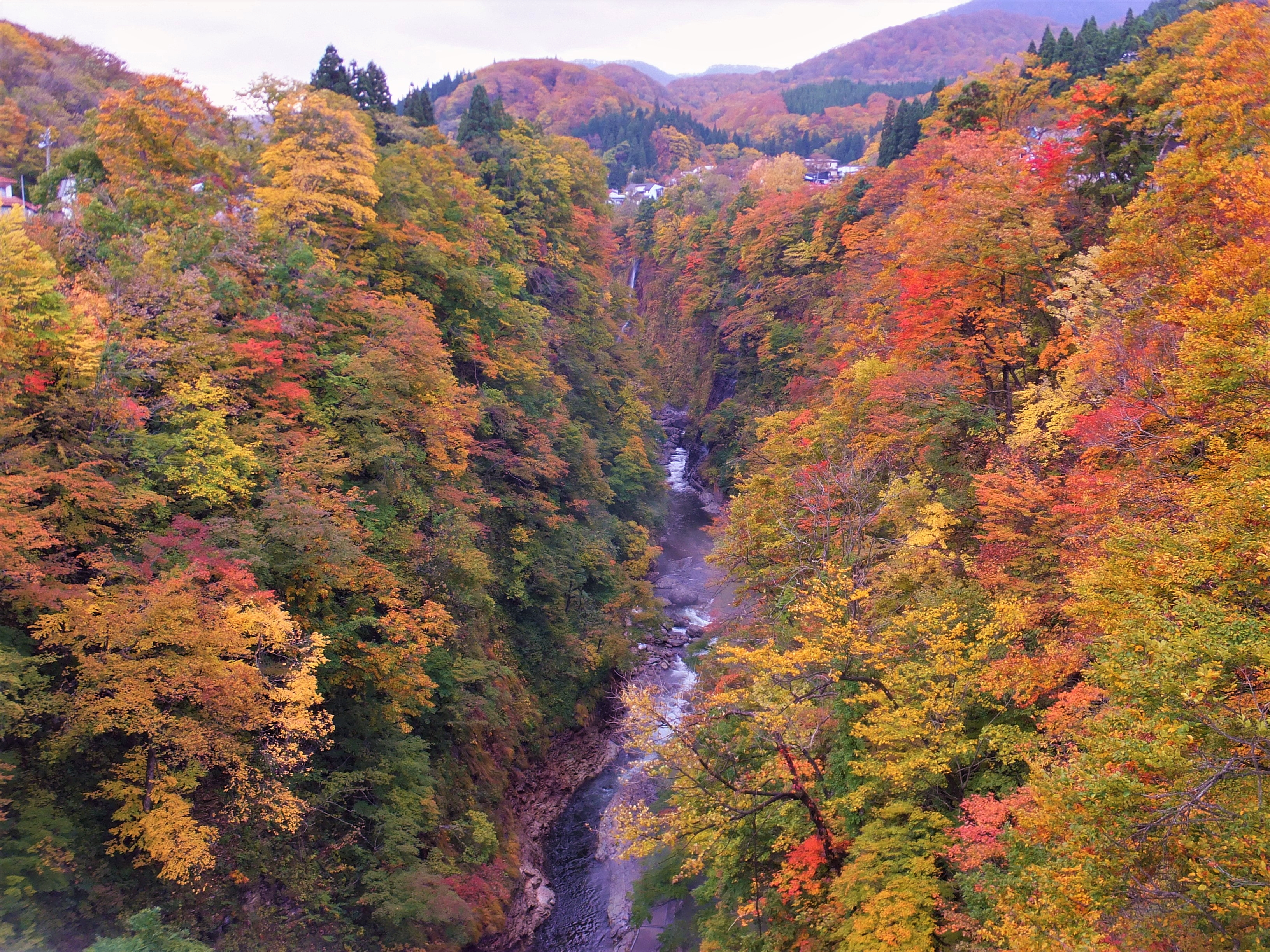 Yuzawa (Akita)