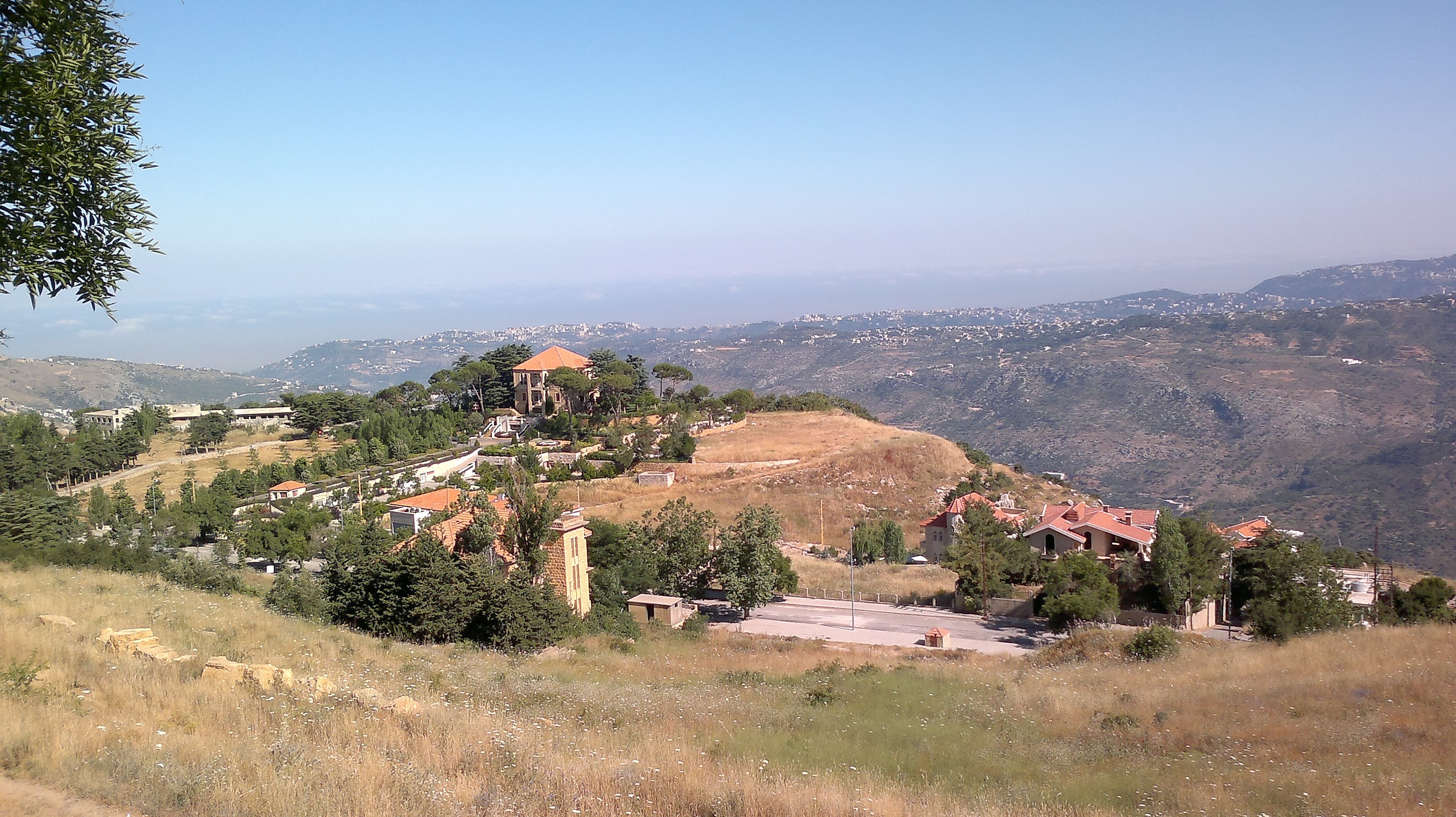Aley