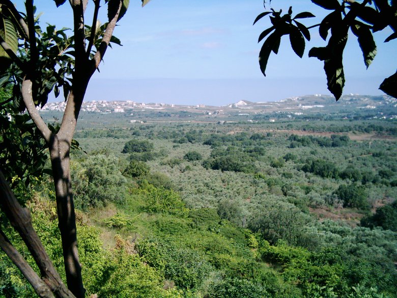 Lebanon