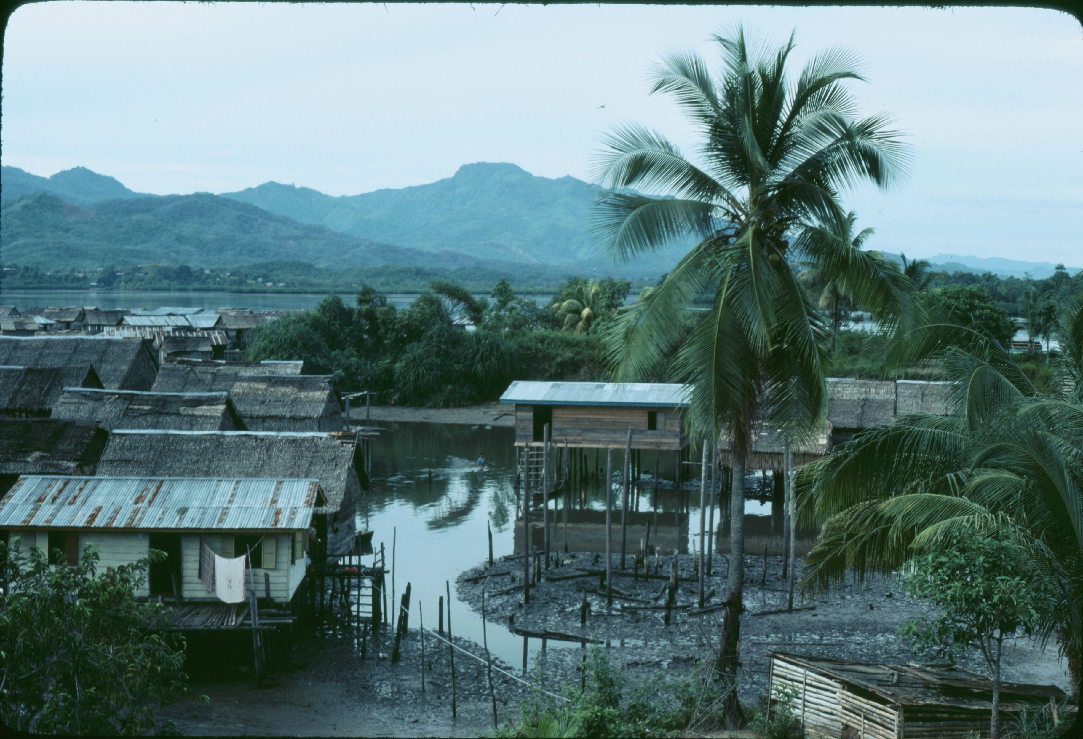 Borneo