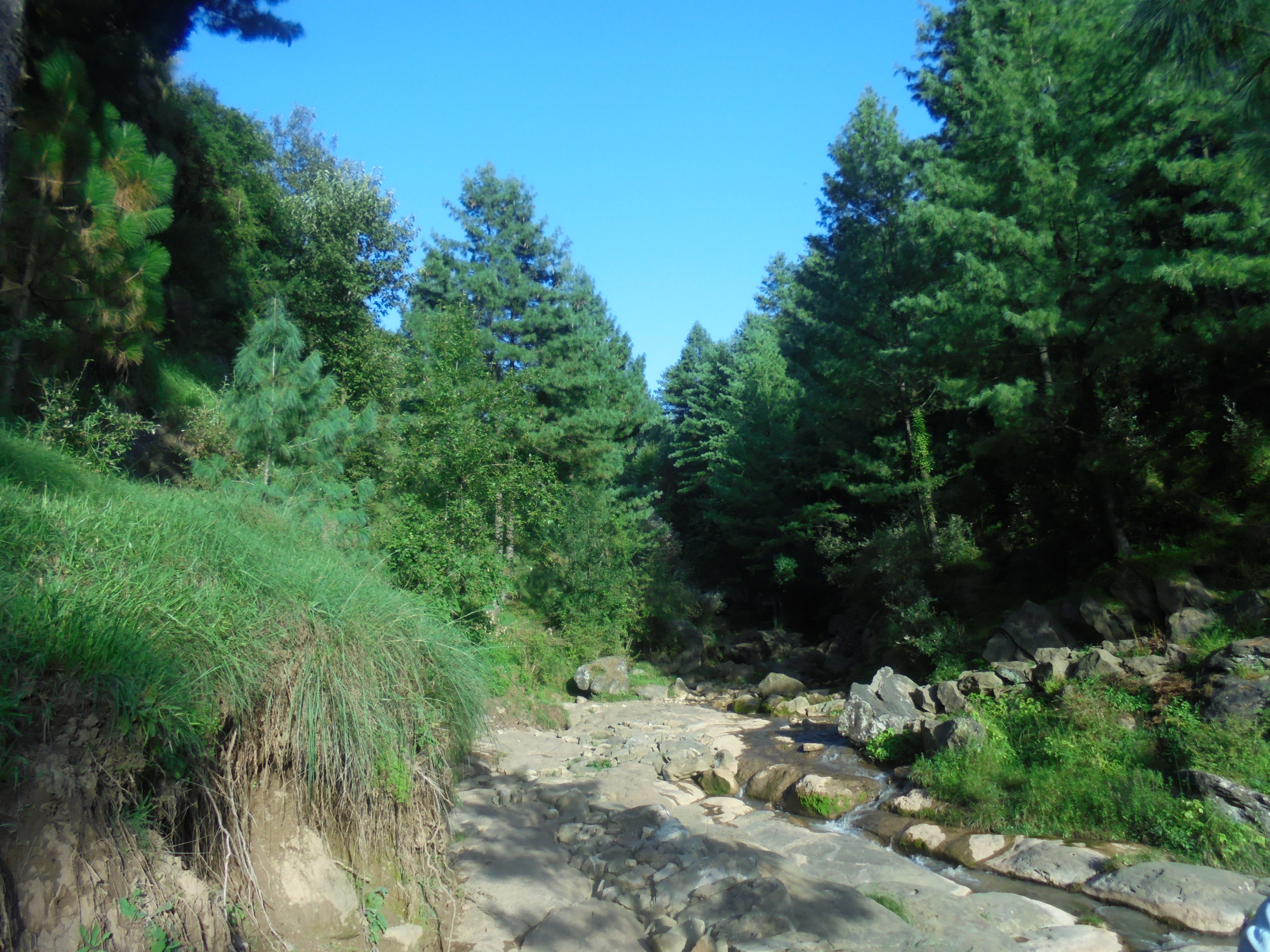 Pallandri