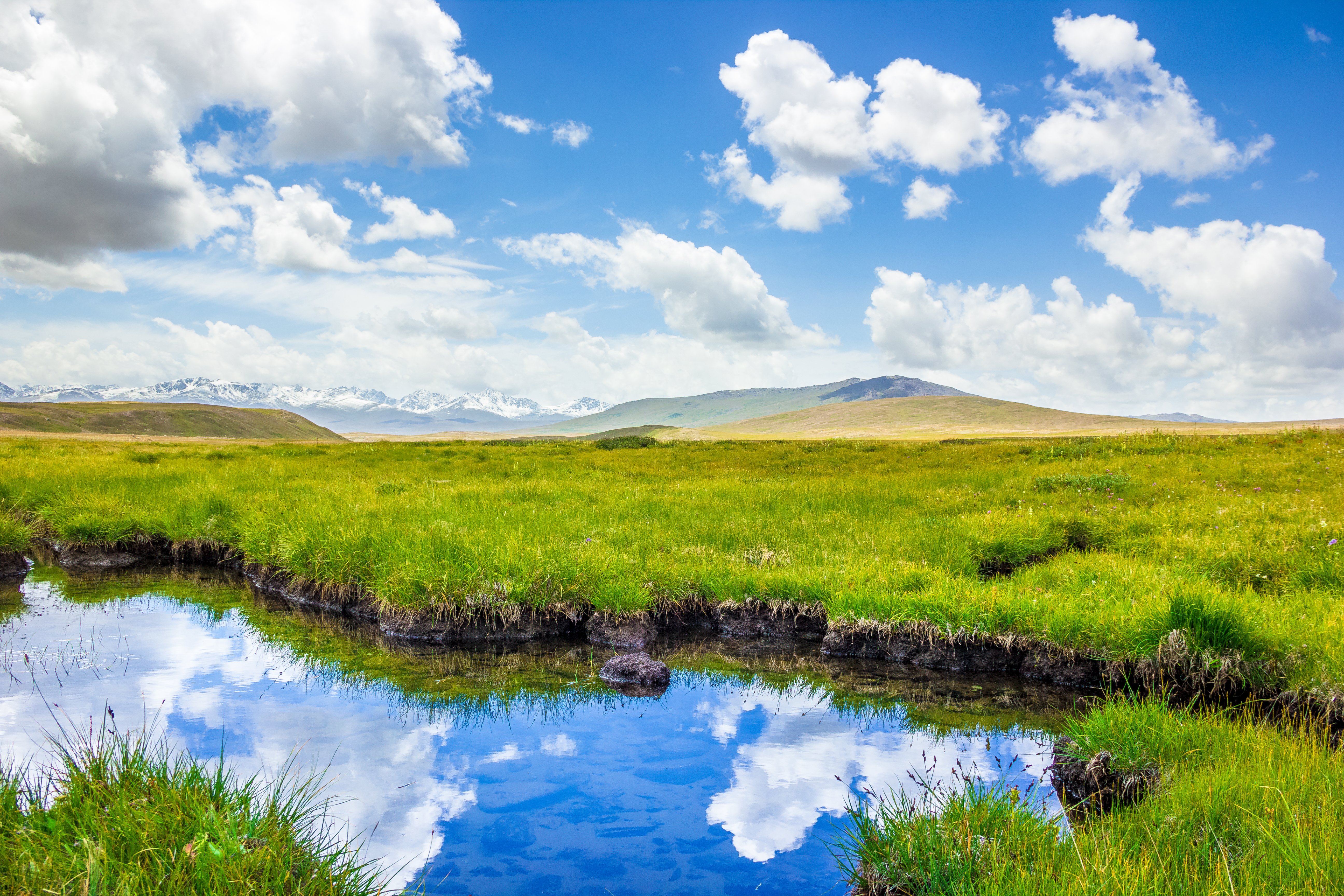 Deosai National Park