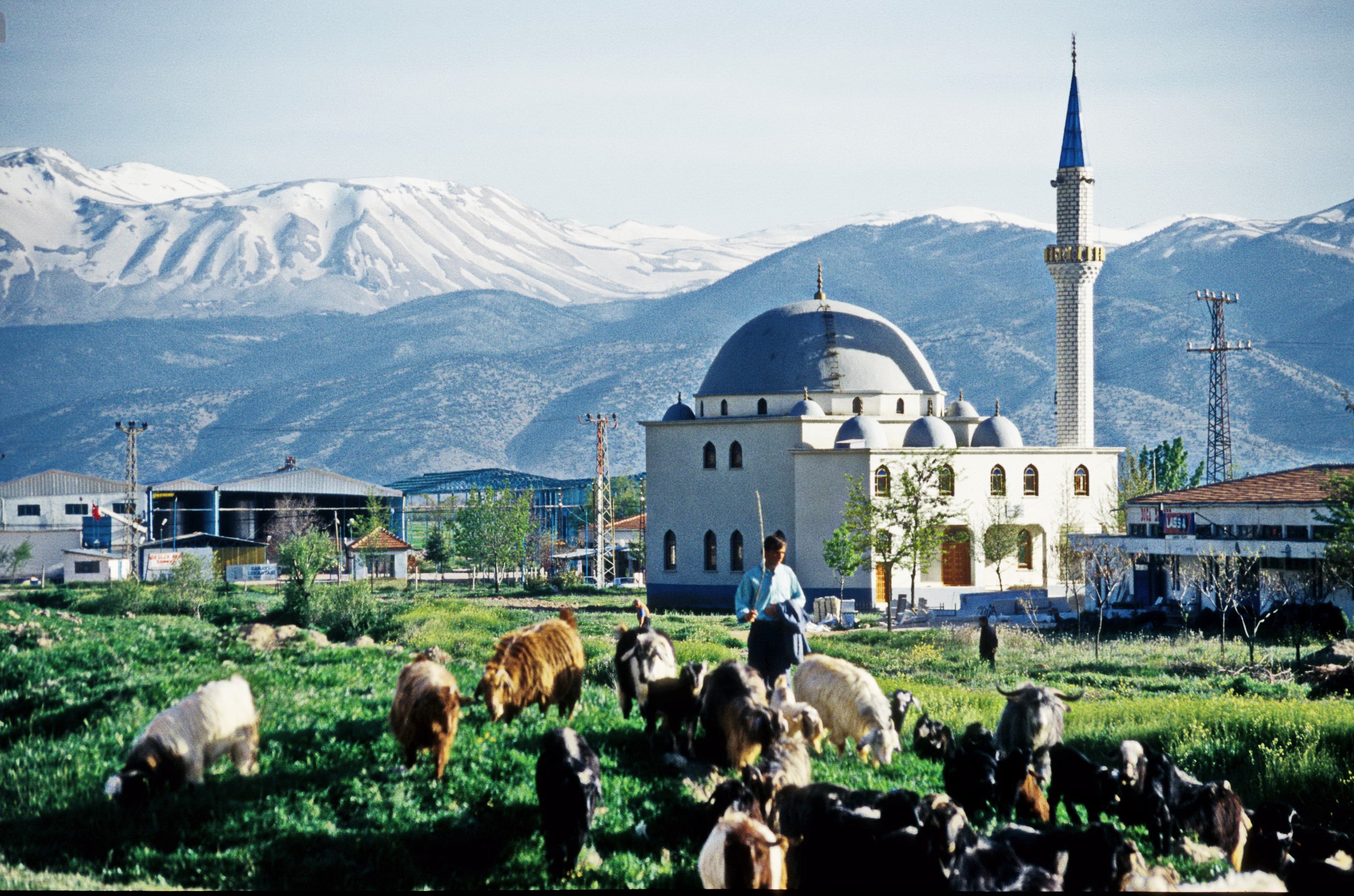 Elmali
