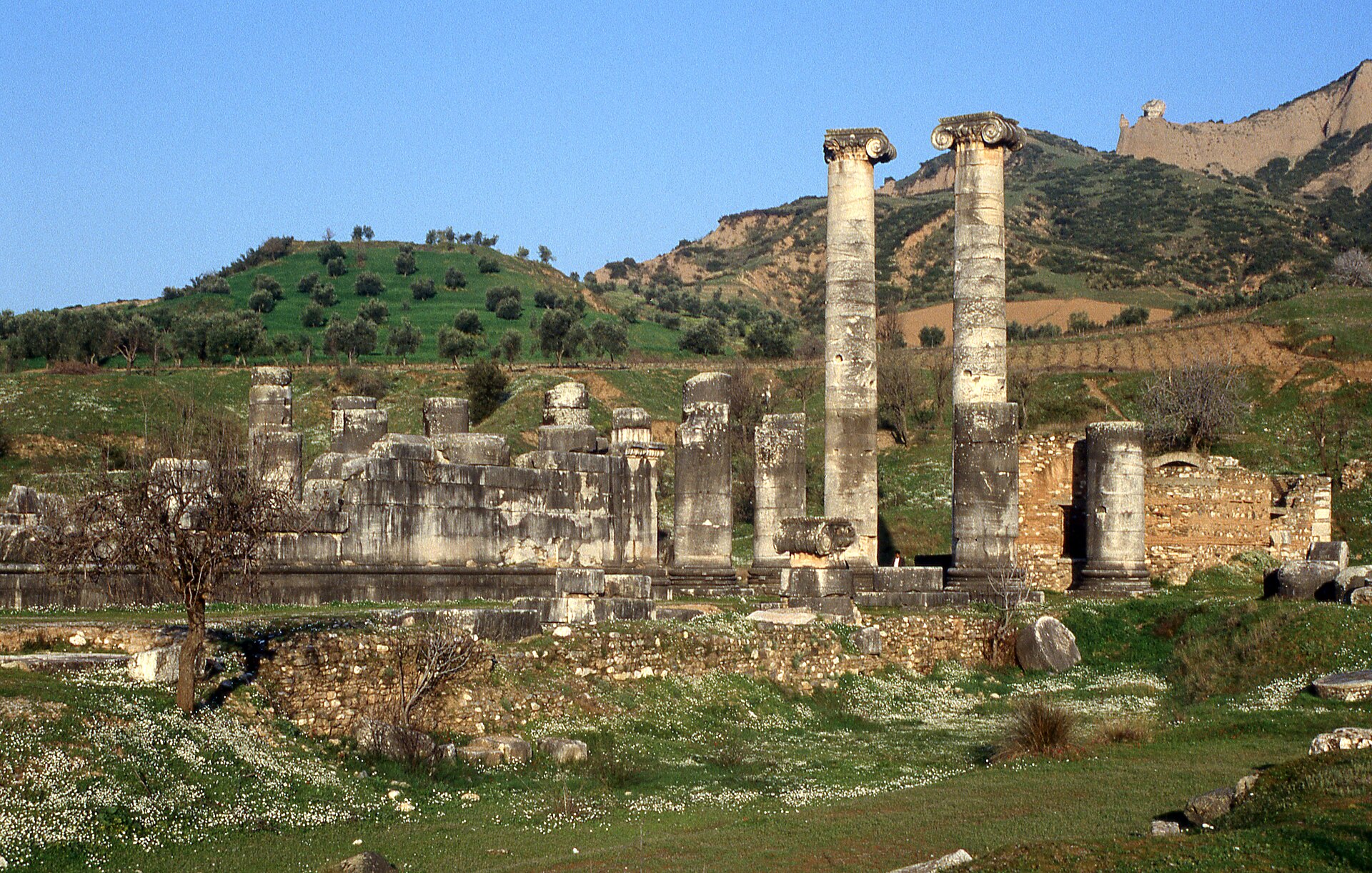 Sardis