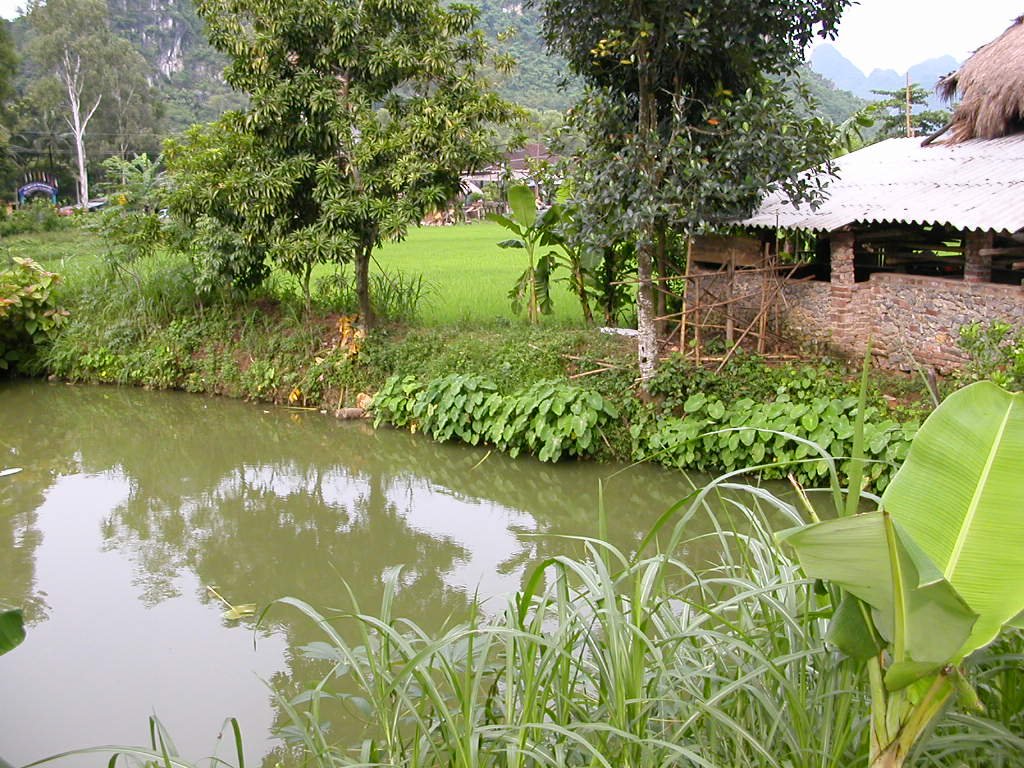 Hoa Binh