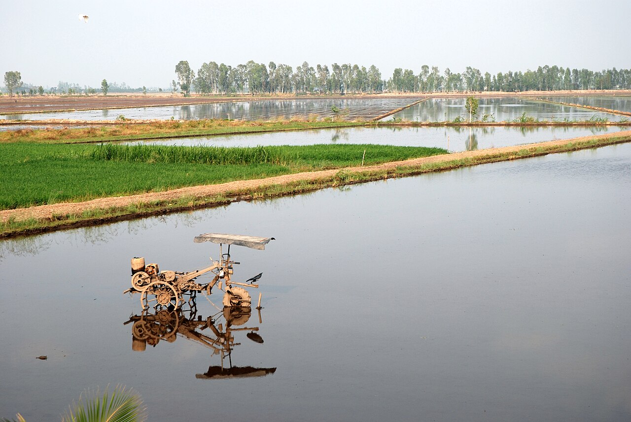 Mekong delta