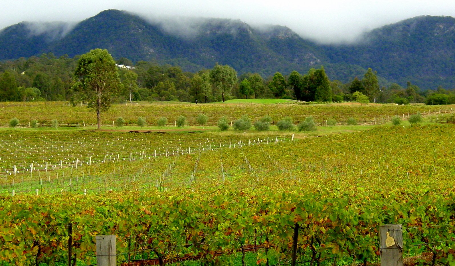 Hunter Valley